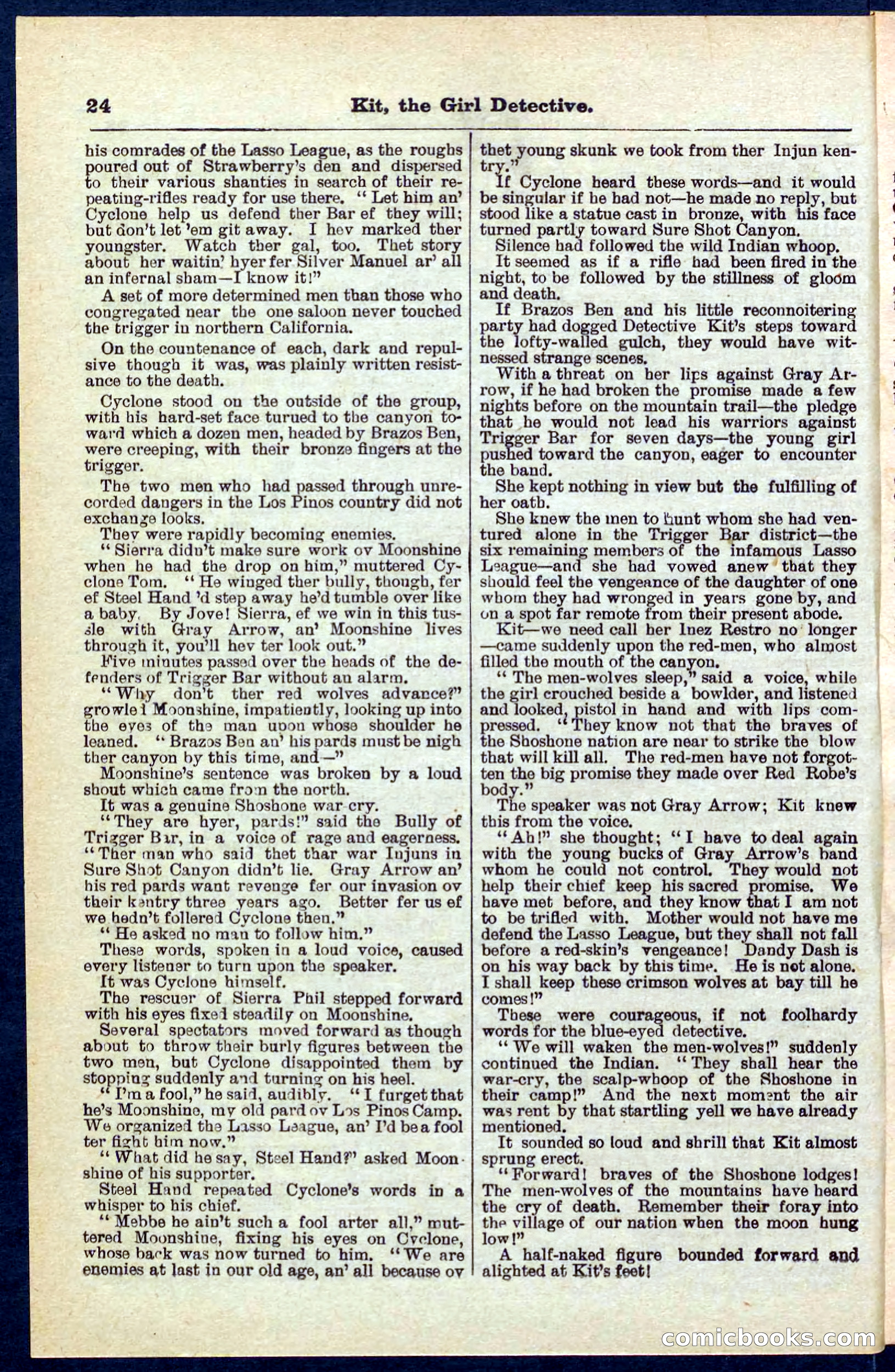 Beadle's Pocket Library No. 272 — page 24 of 32