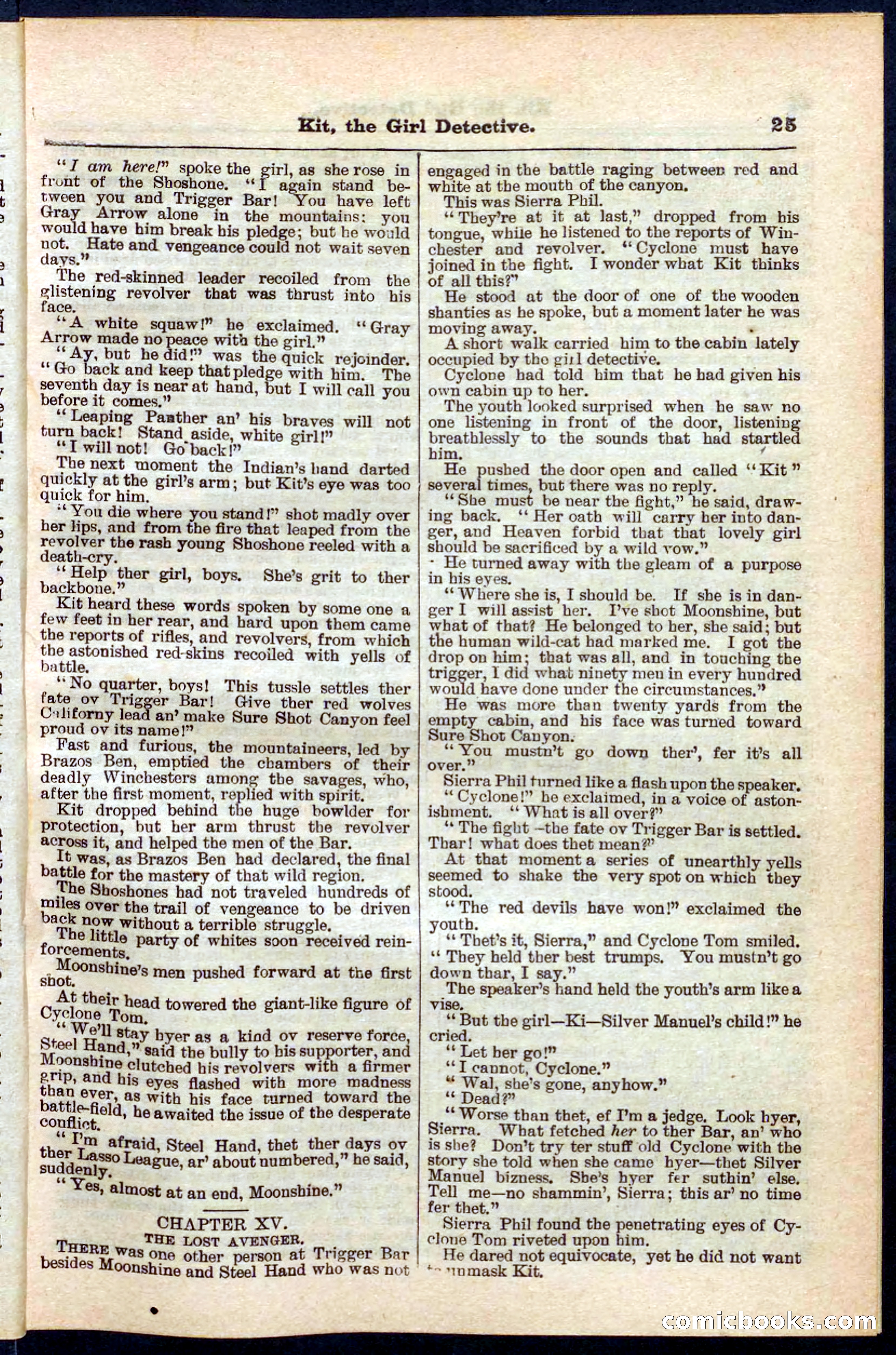 Beadle's Pocket Library No. 272 — page 25 of 32
