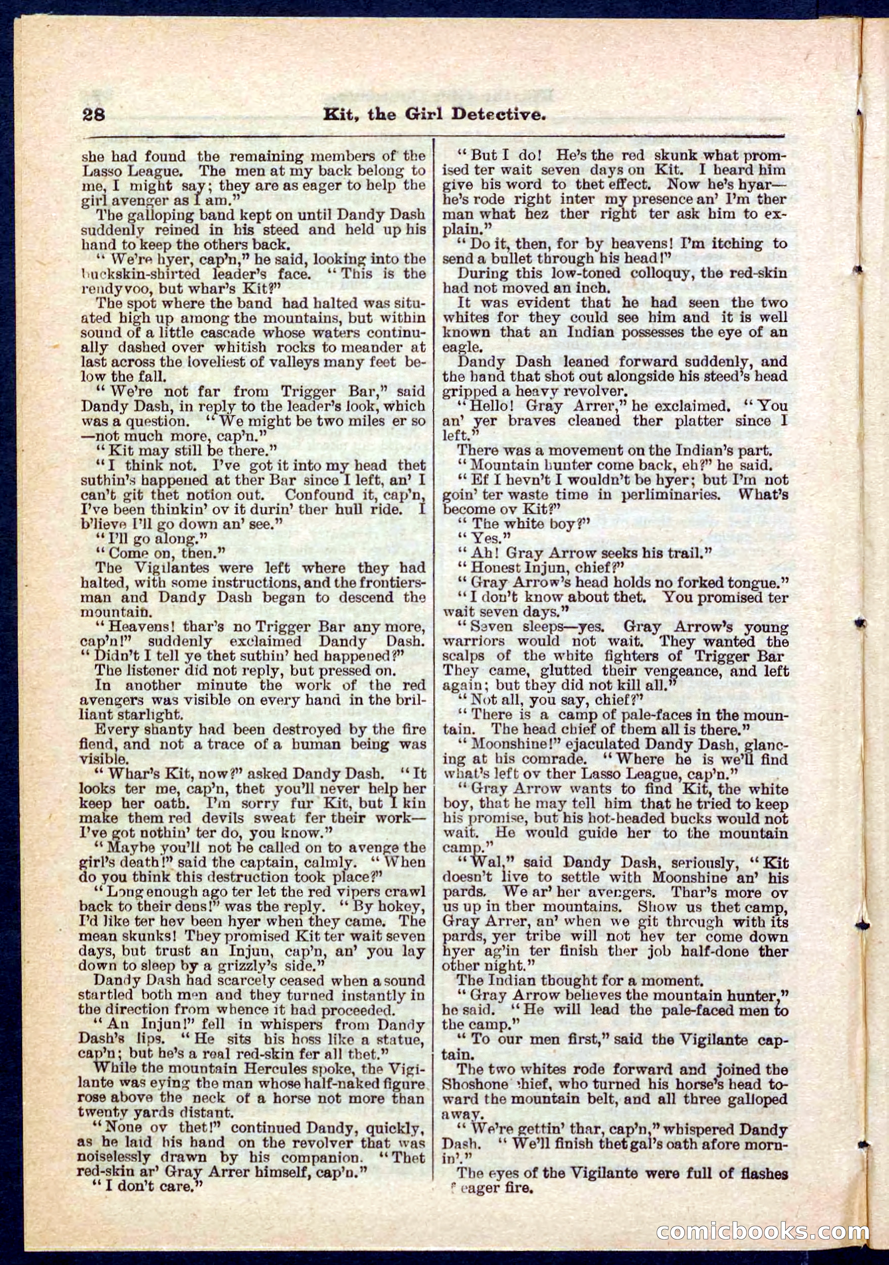 Beadle's Pocket Library No. 272 — page 28 of 32