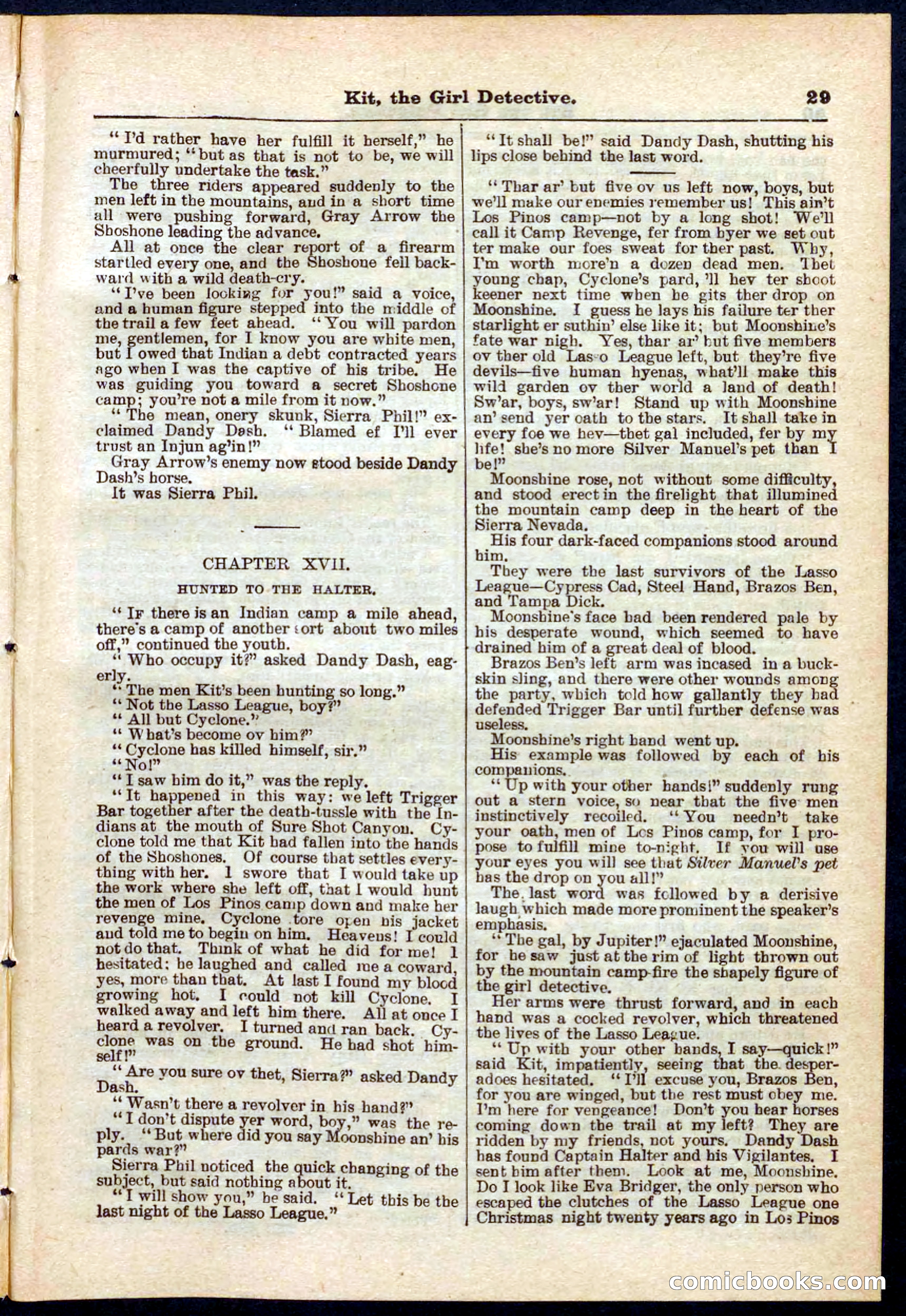 Beadle's Pocket Library No. 272 — page 29 of 32