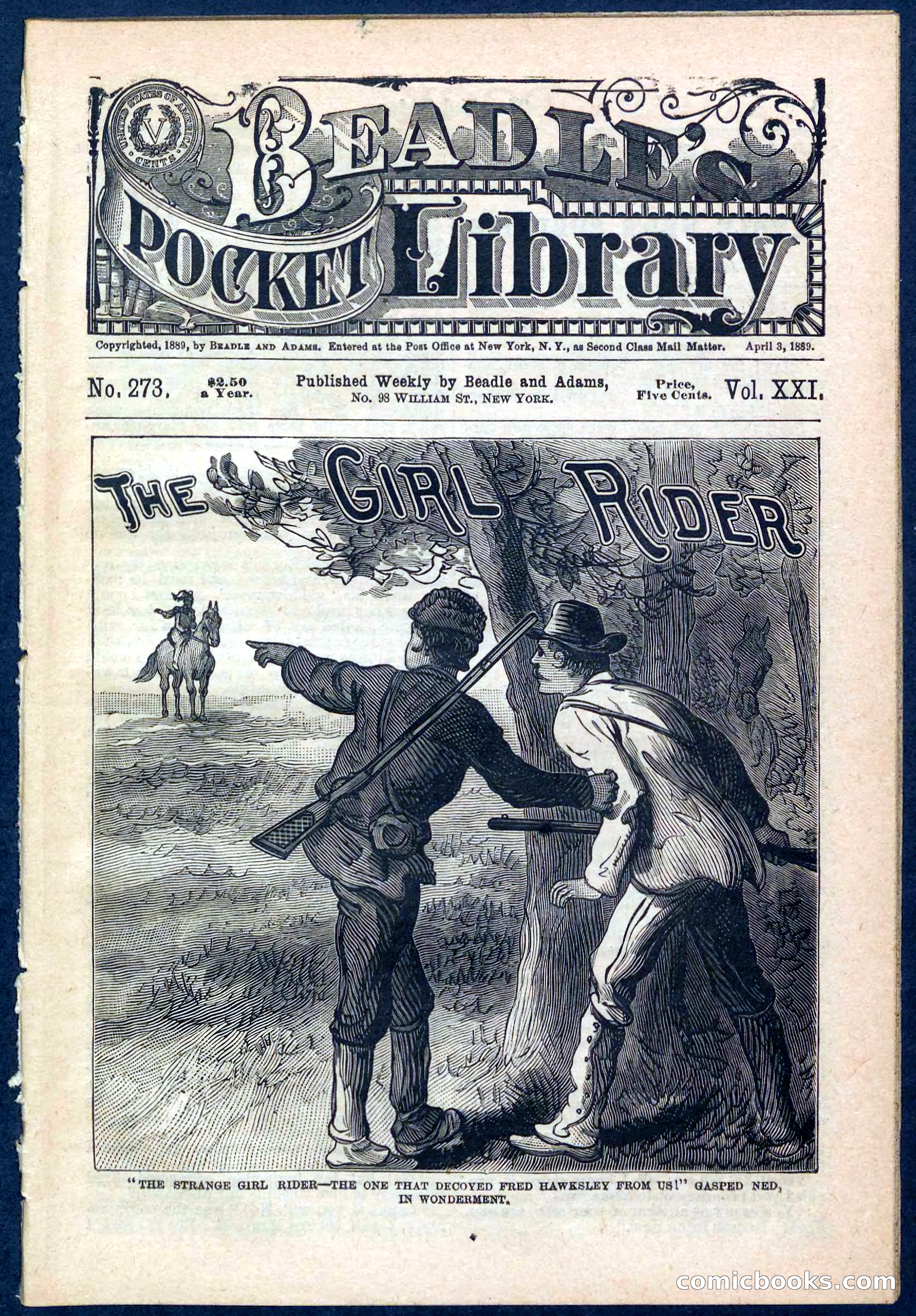Beadle's Pocket Library No. 273 — page 1 of 32