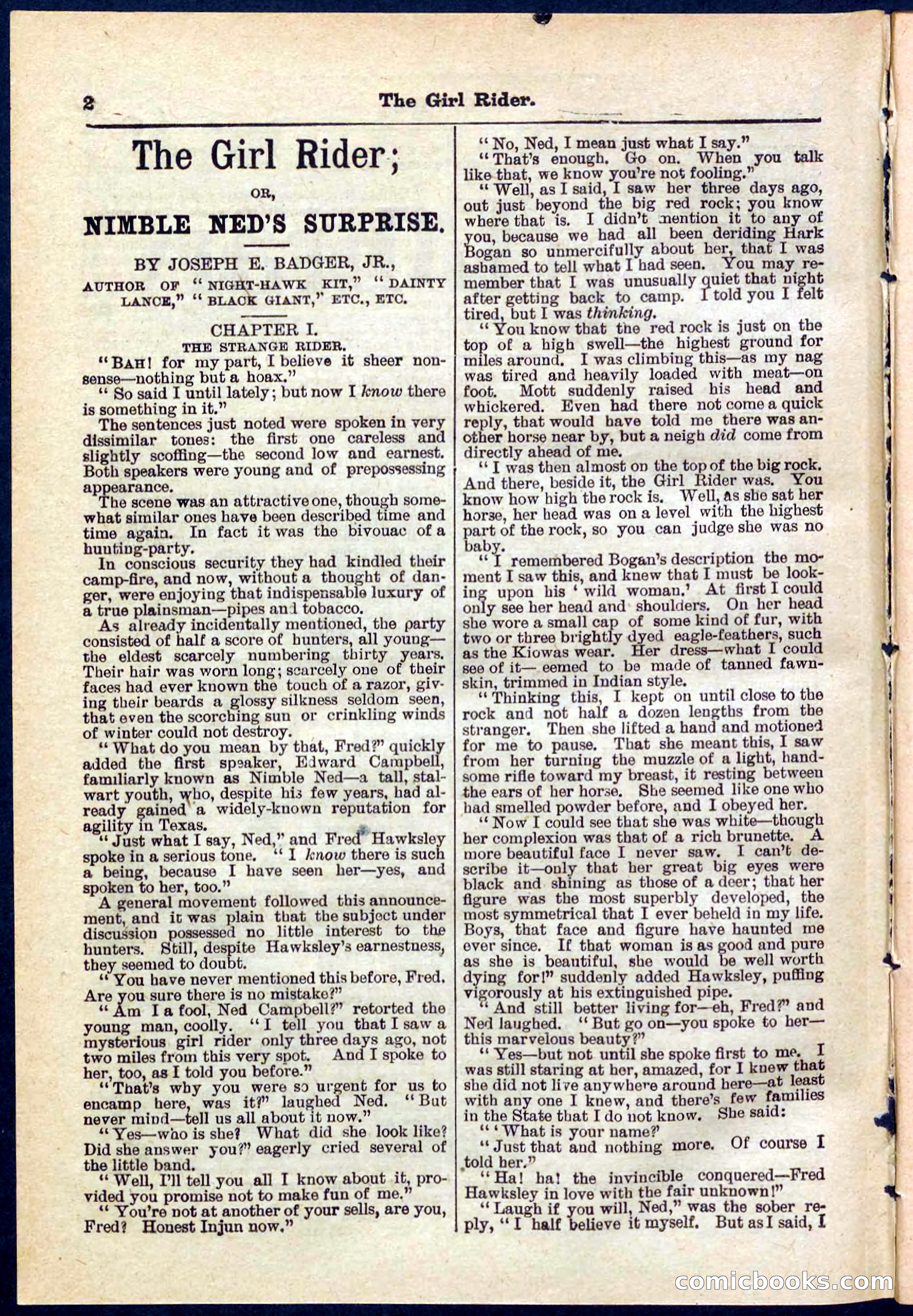 Beadle's Pocket Library No. 273 — page 2 of 32