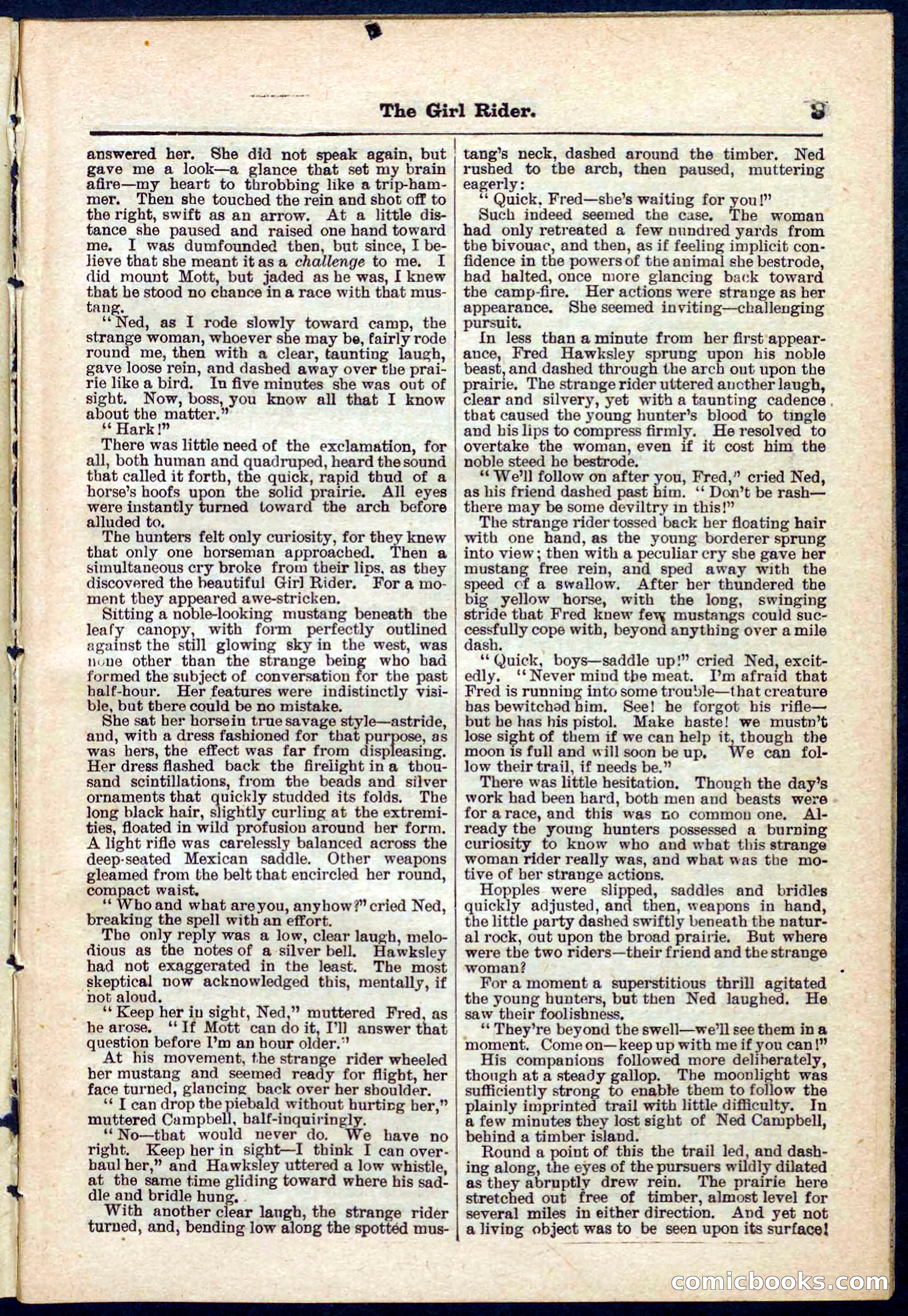 Beadle's Pocket Library No. 273 — page 3 of 32