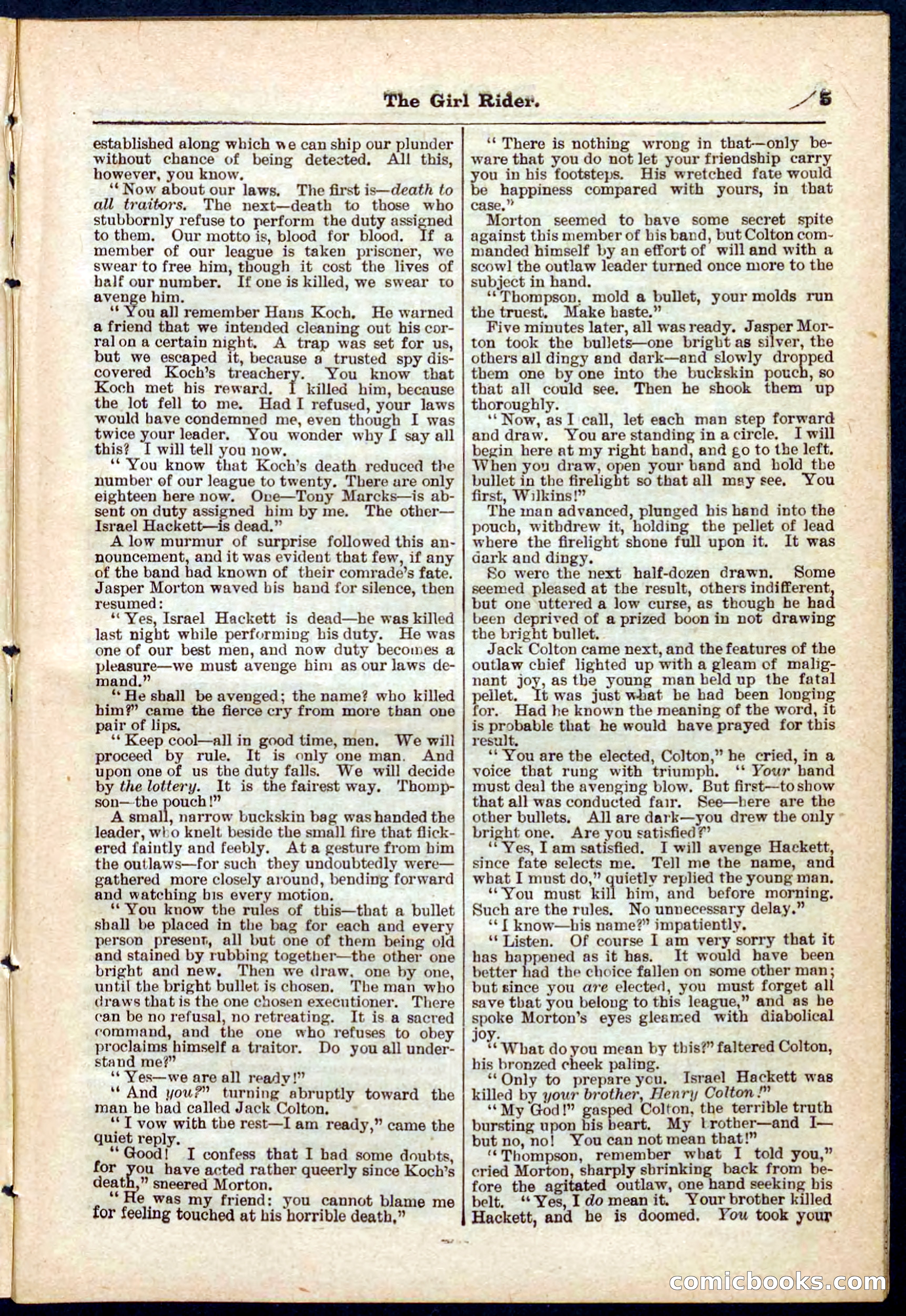 Beadle's Pocket Library No. 273 — page 5 of 32