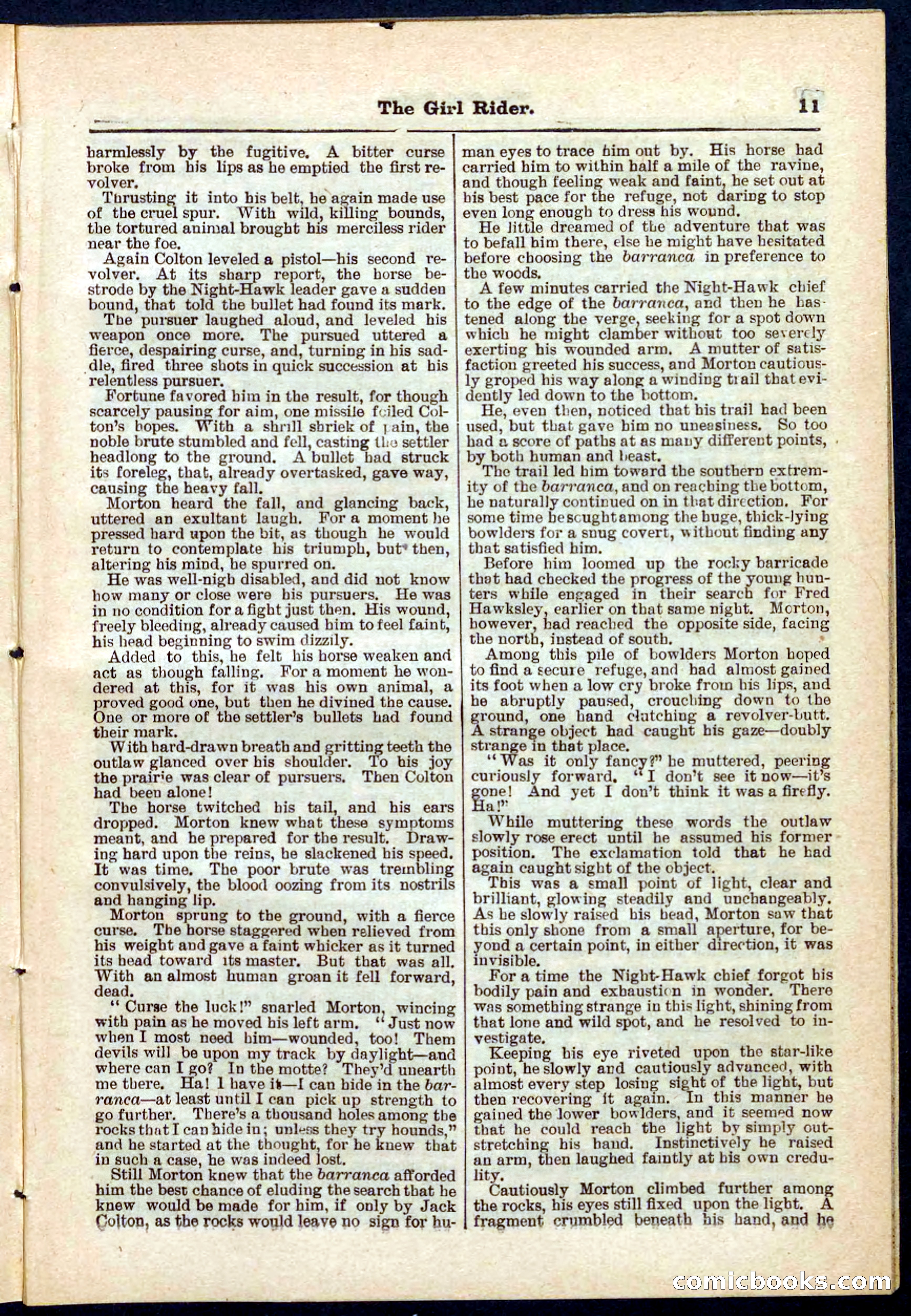 Beadle's Pocket Library No. 273 — page 11 of 32