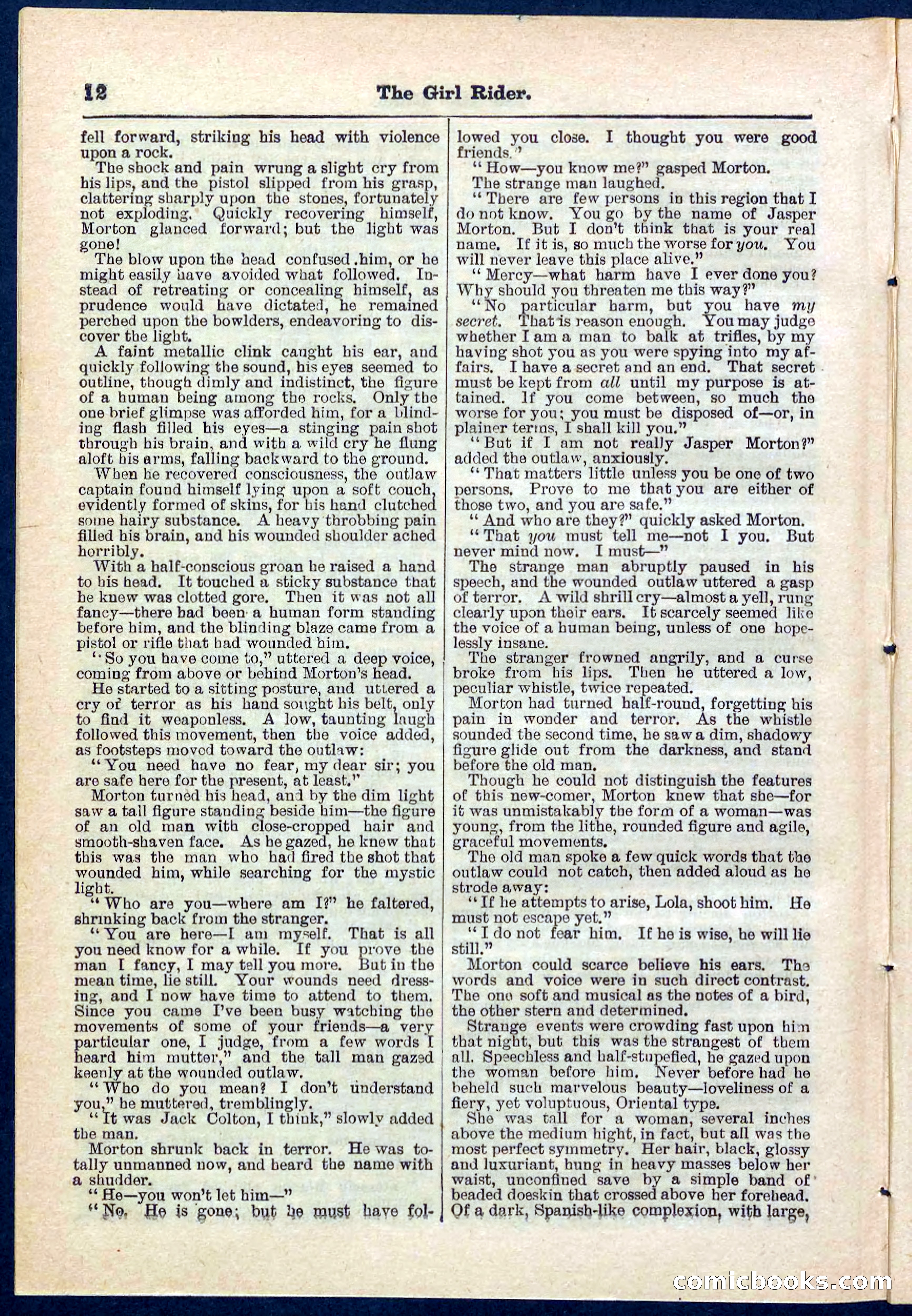 Beadle's Pocket Library No. 273 — page 12 of 32