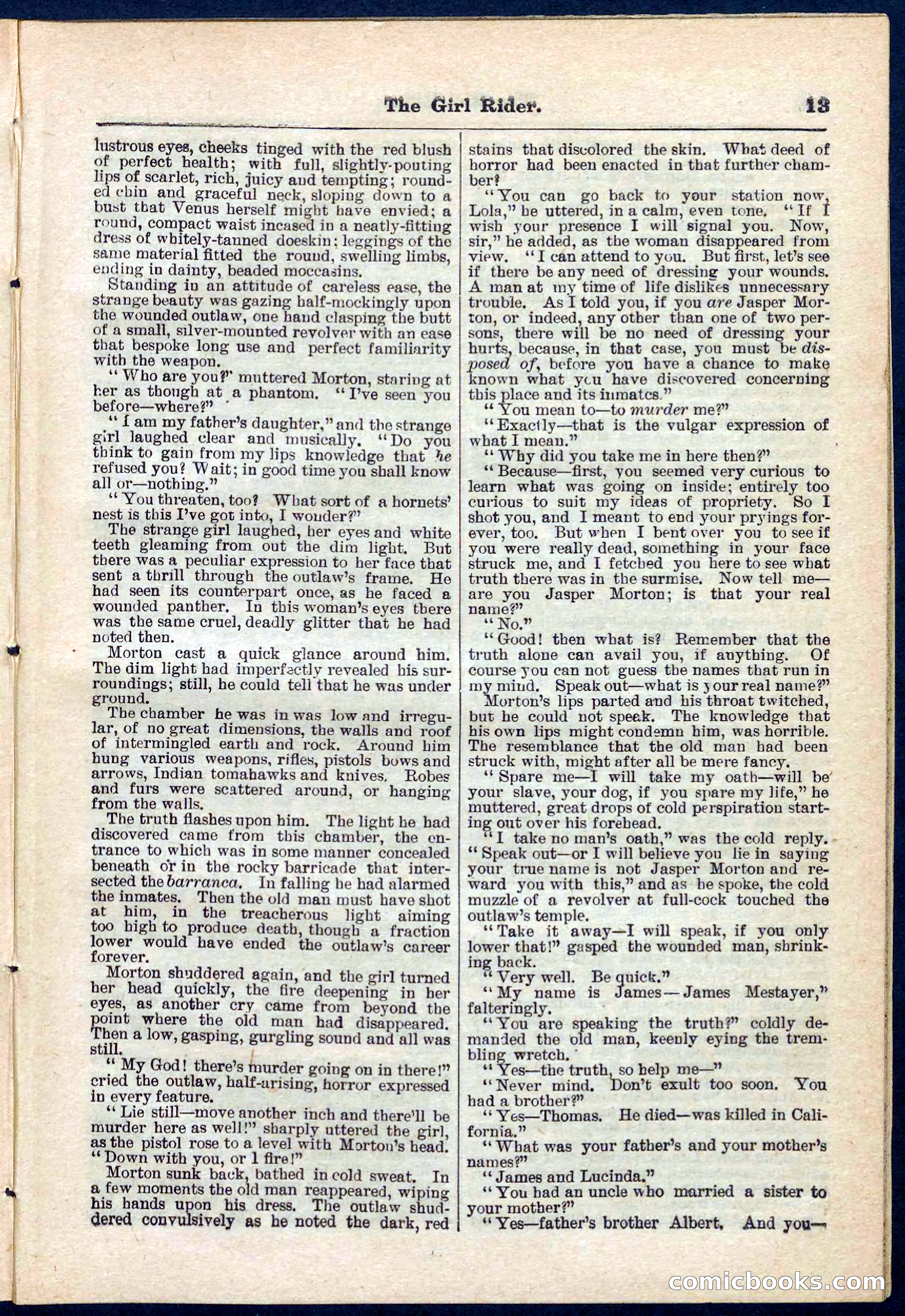 Beadle's Pocket Library No. 273 — page 13 of 32
