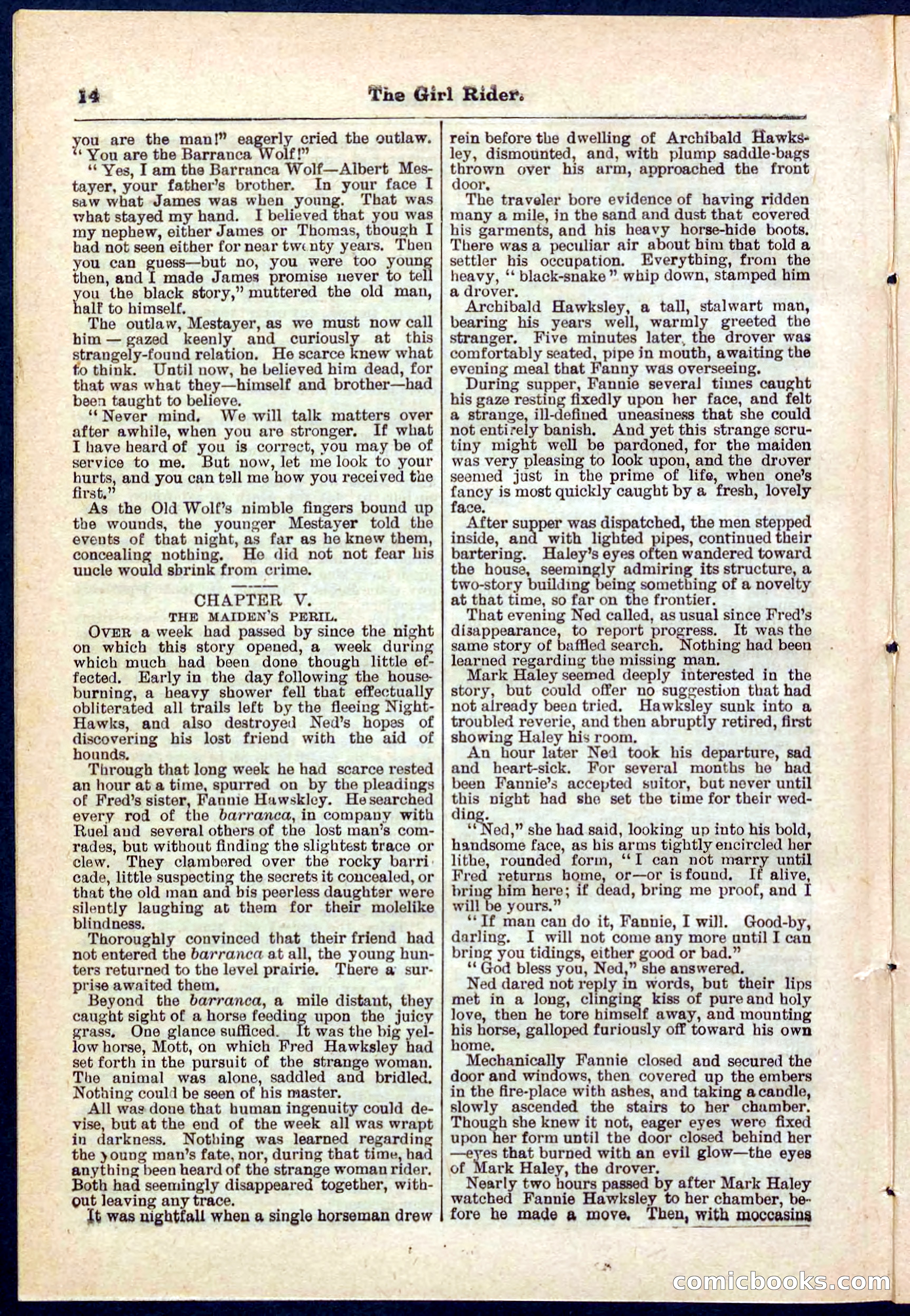 Beadle's Pocket Library No. 273 — page 14 of 32