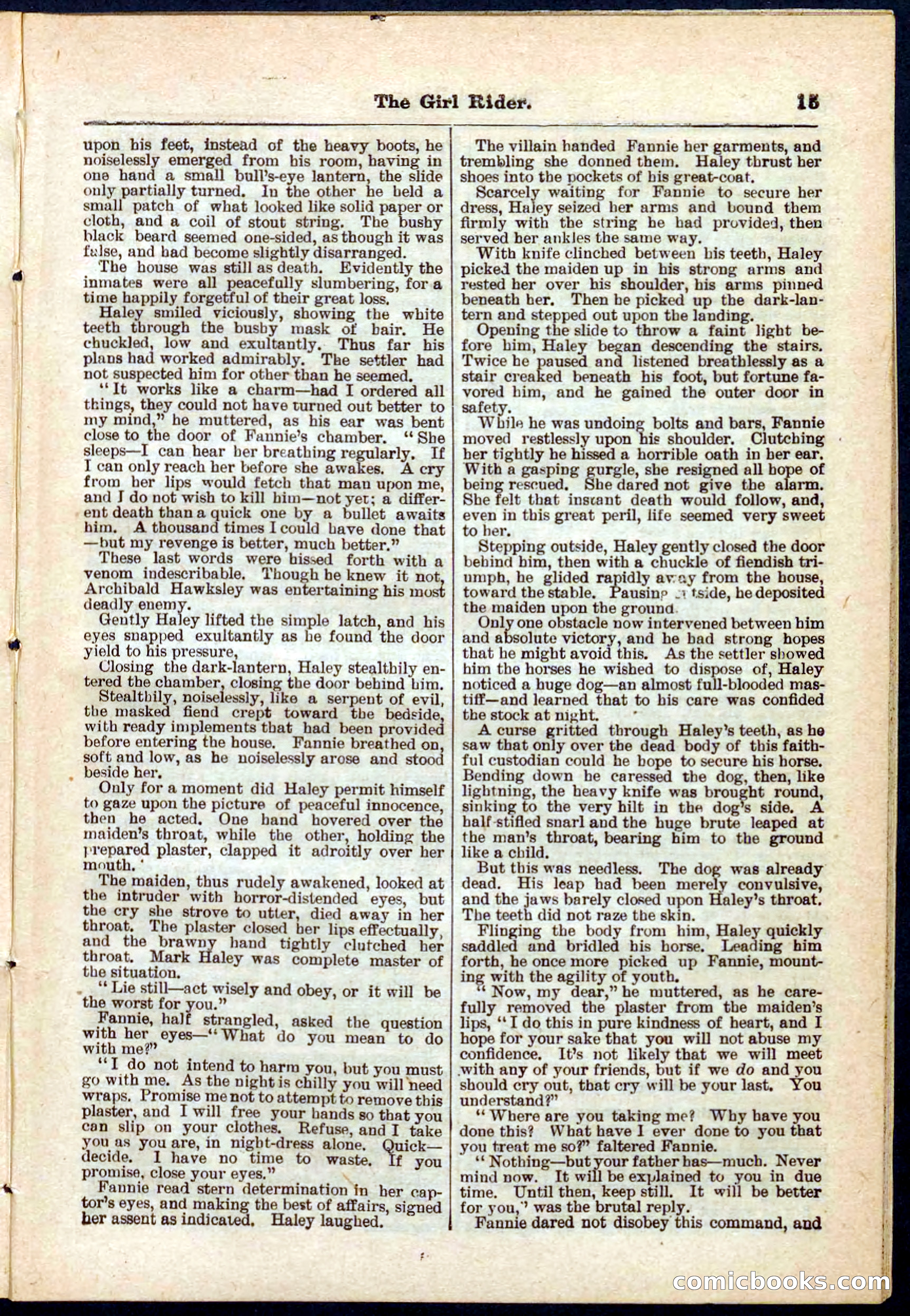 Beadle's Pocket Library No. 273 — page 15 of 32