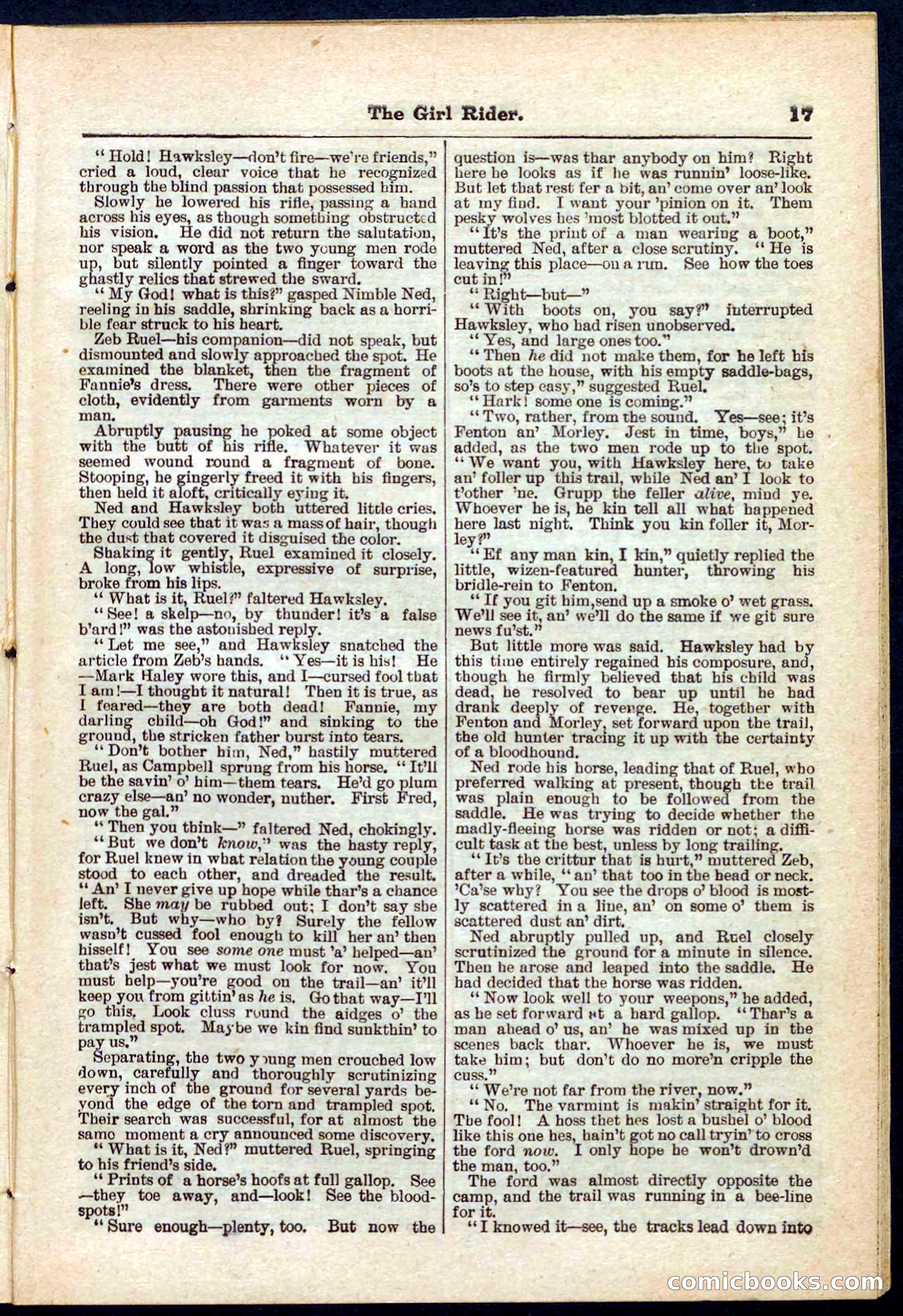 Beadle's Pocket Library No. 273 — page 17 of 32