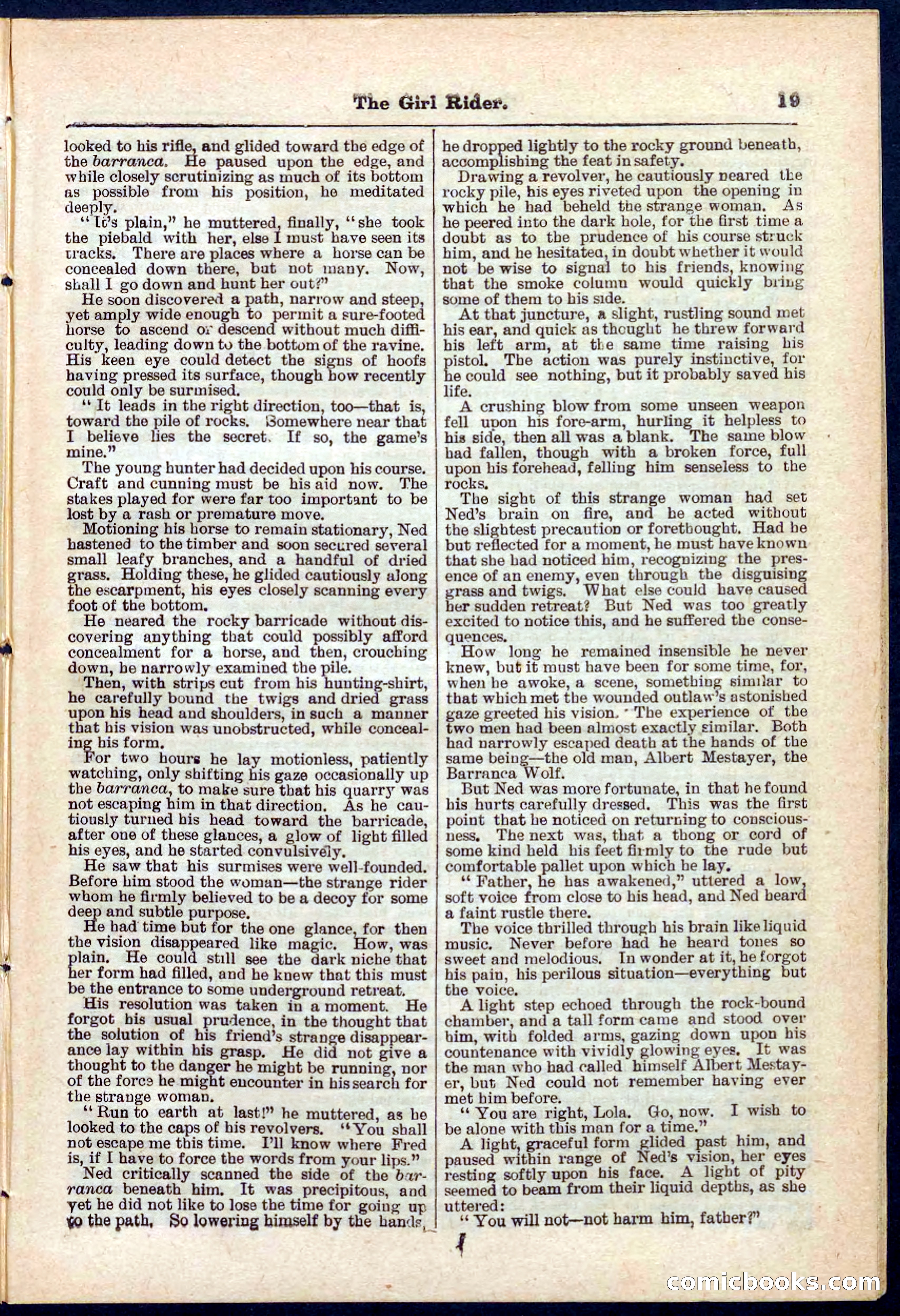 Beadle's Pocket Library No. 273 — page 19 of 32