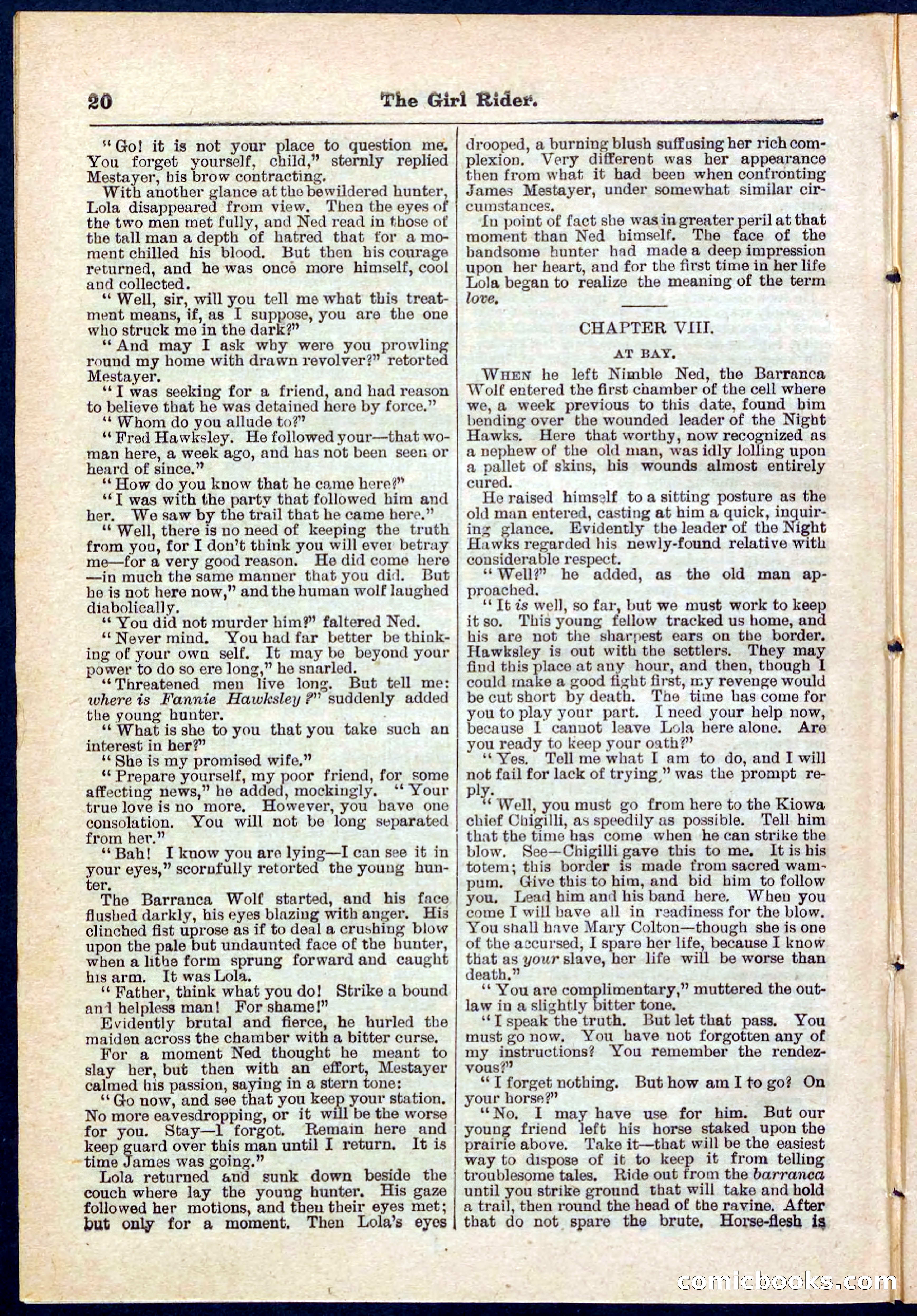 Beadle's Pocket Library No. 273 — page 20 of 32