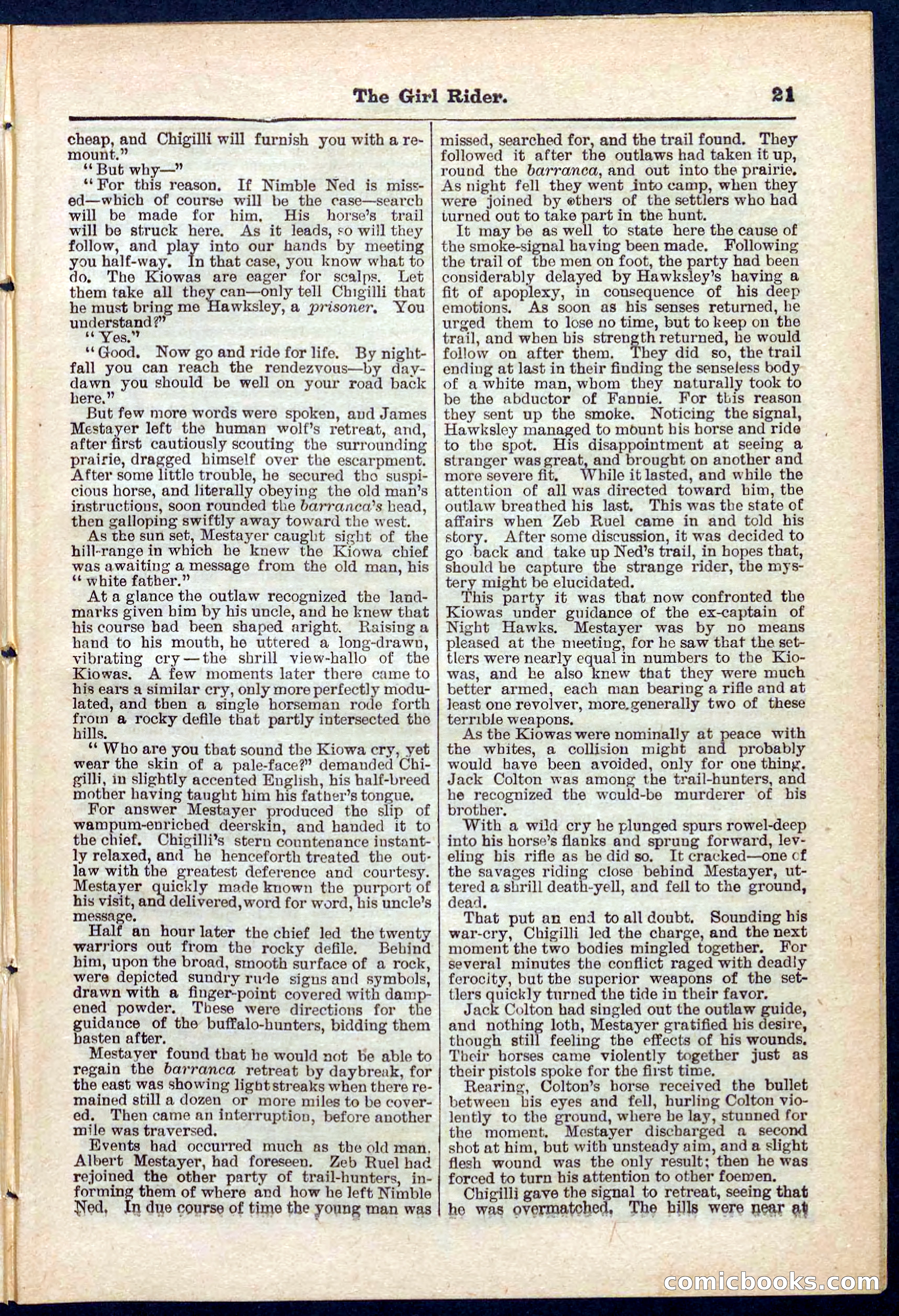 Beadle's Pocket Library No. 273 — page 21 of 32