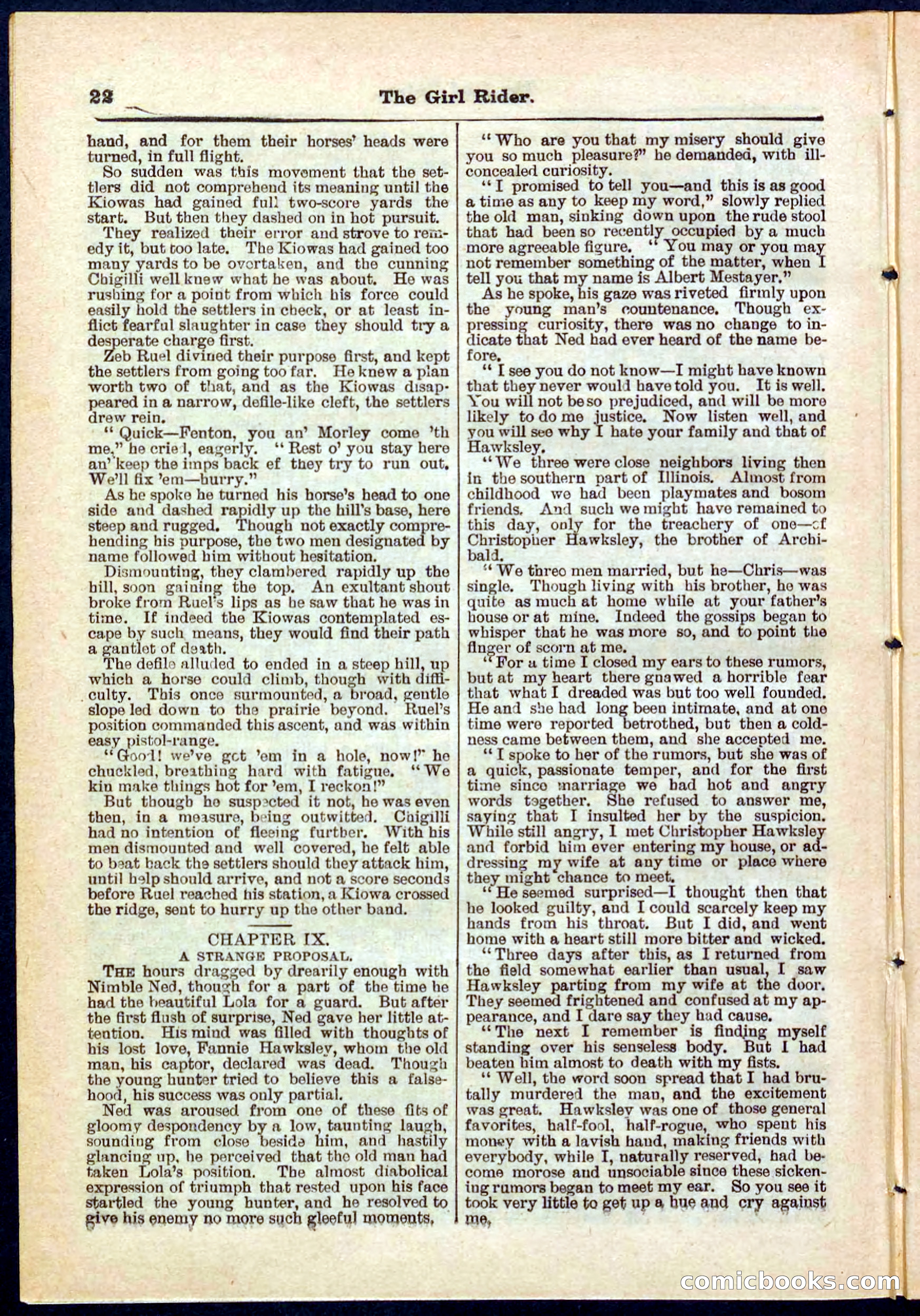 Beadle's Pocket Library No. 273 — page 22 of 32