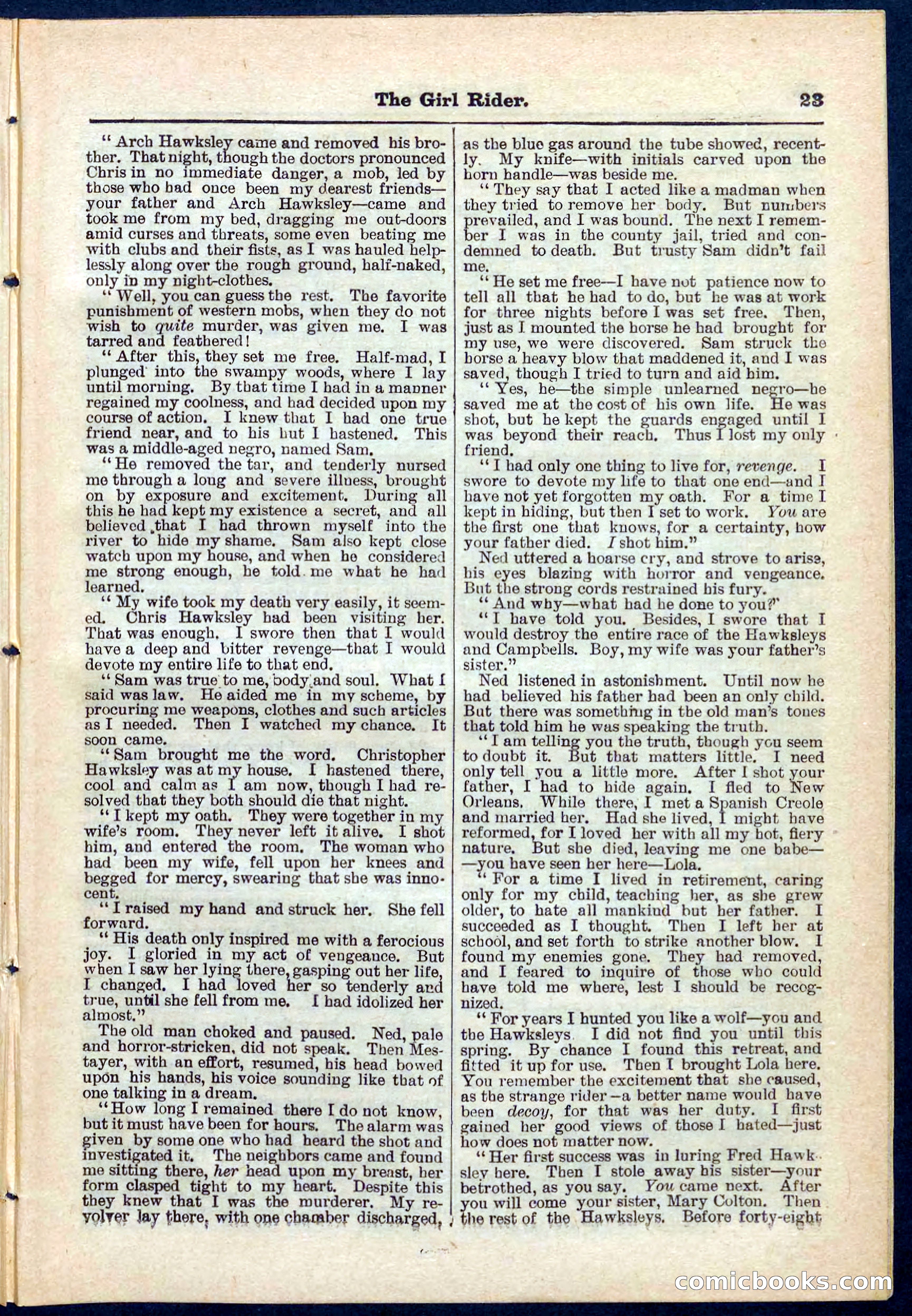 Beadle's Pocket Library No. 273 — page 23 of 32