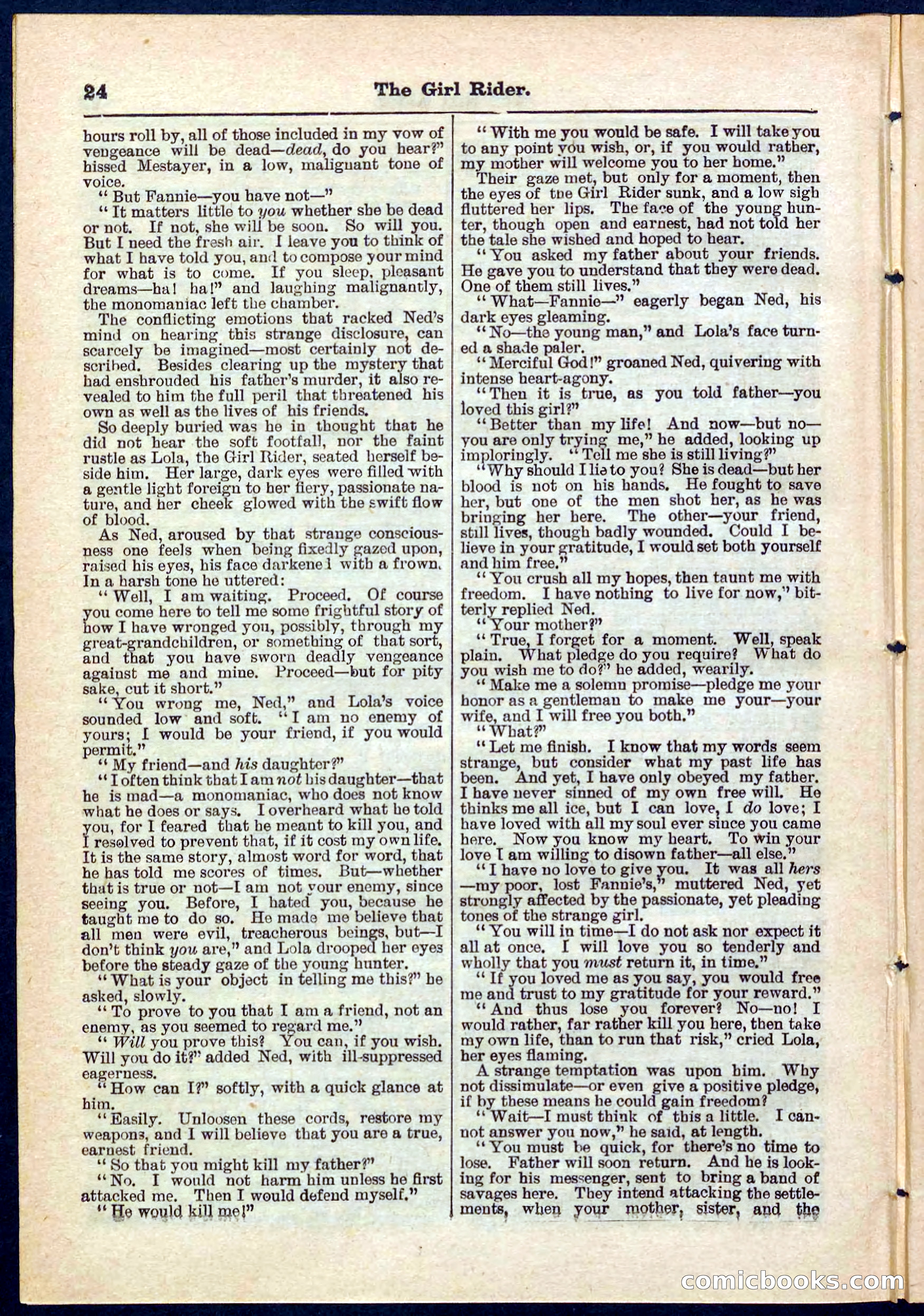 Beadle's Pocket Library No. 273 — page 24 of 32