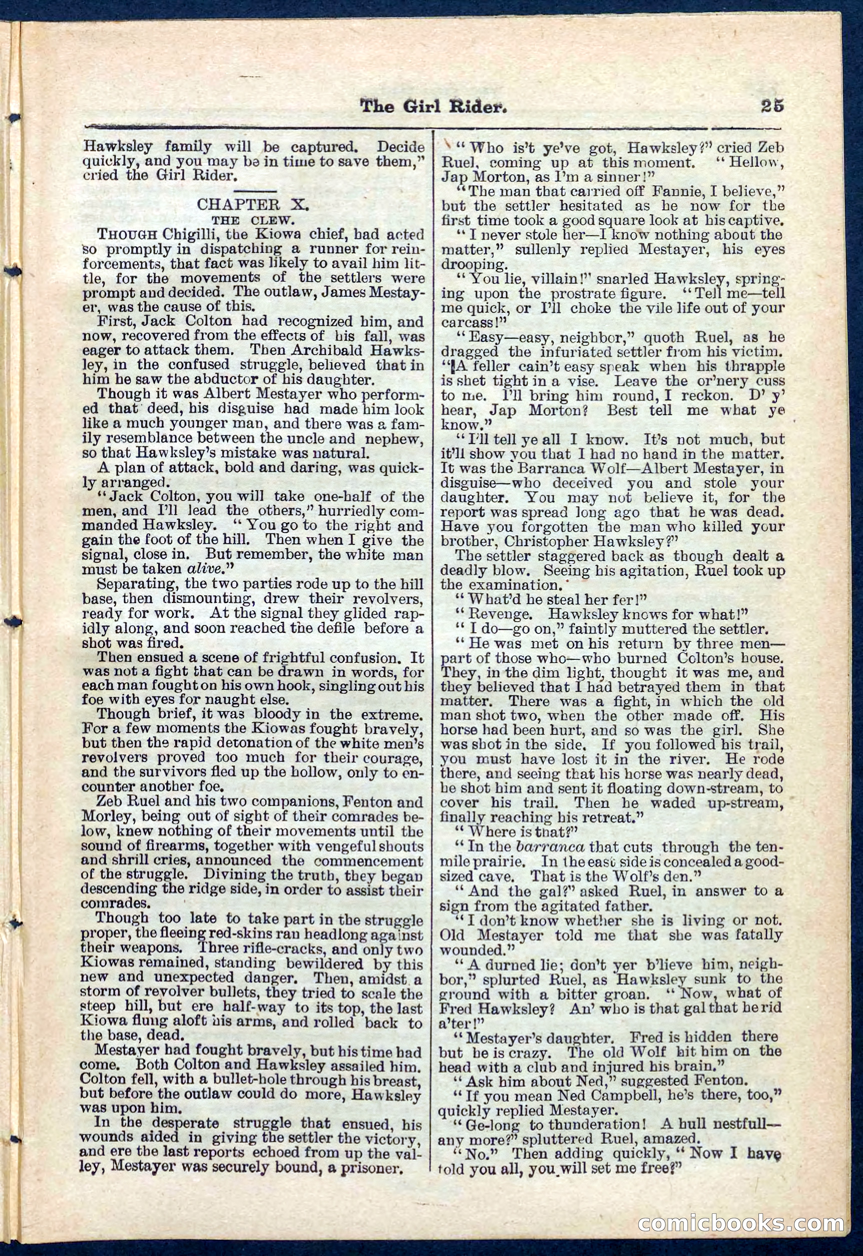 Beadle's Pocket Library No. 273 — page 25 of 32