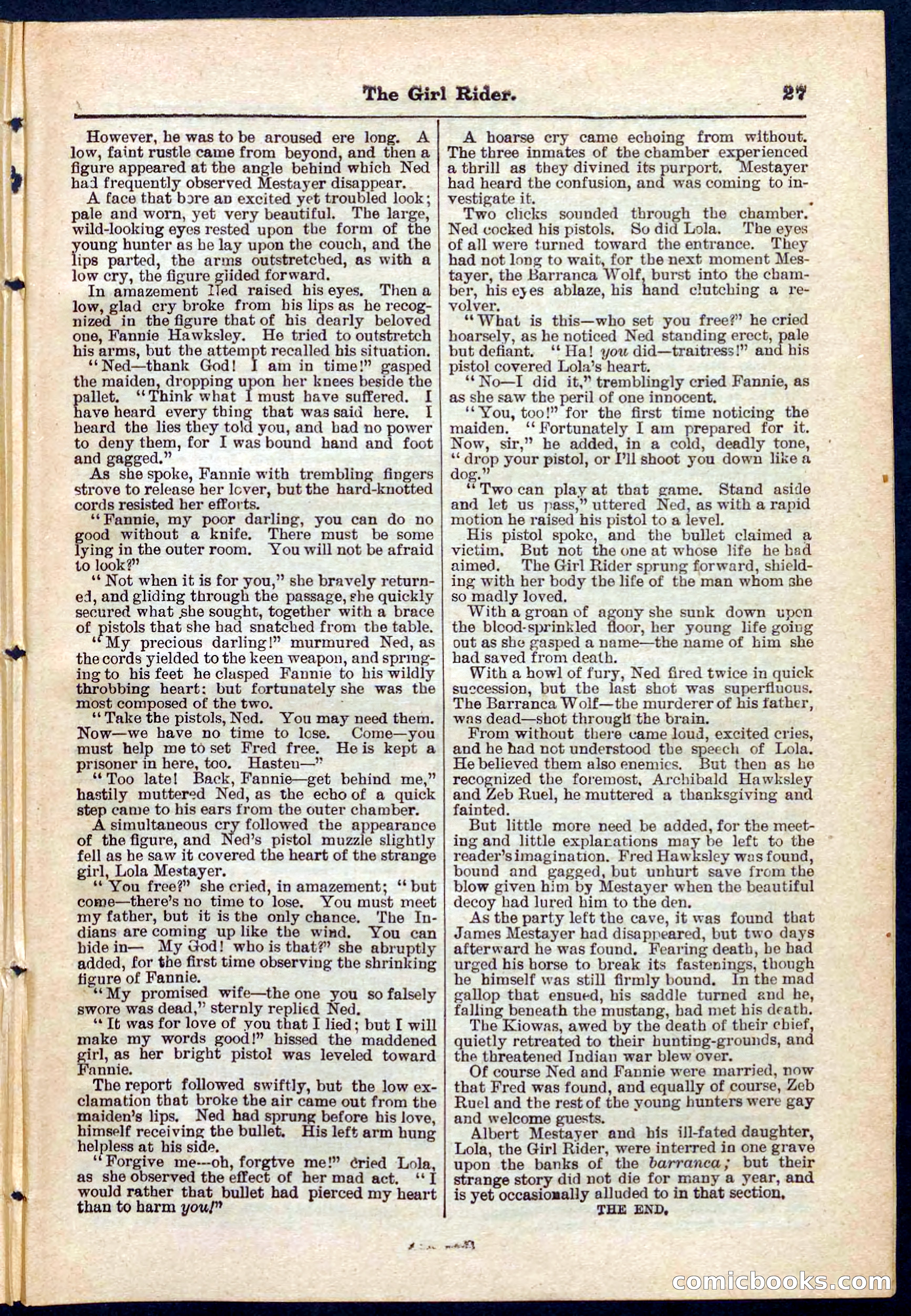 Beadle's Pocket Library No. 273 — page 27 of 32