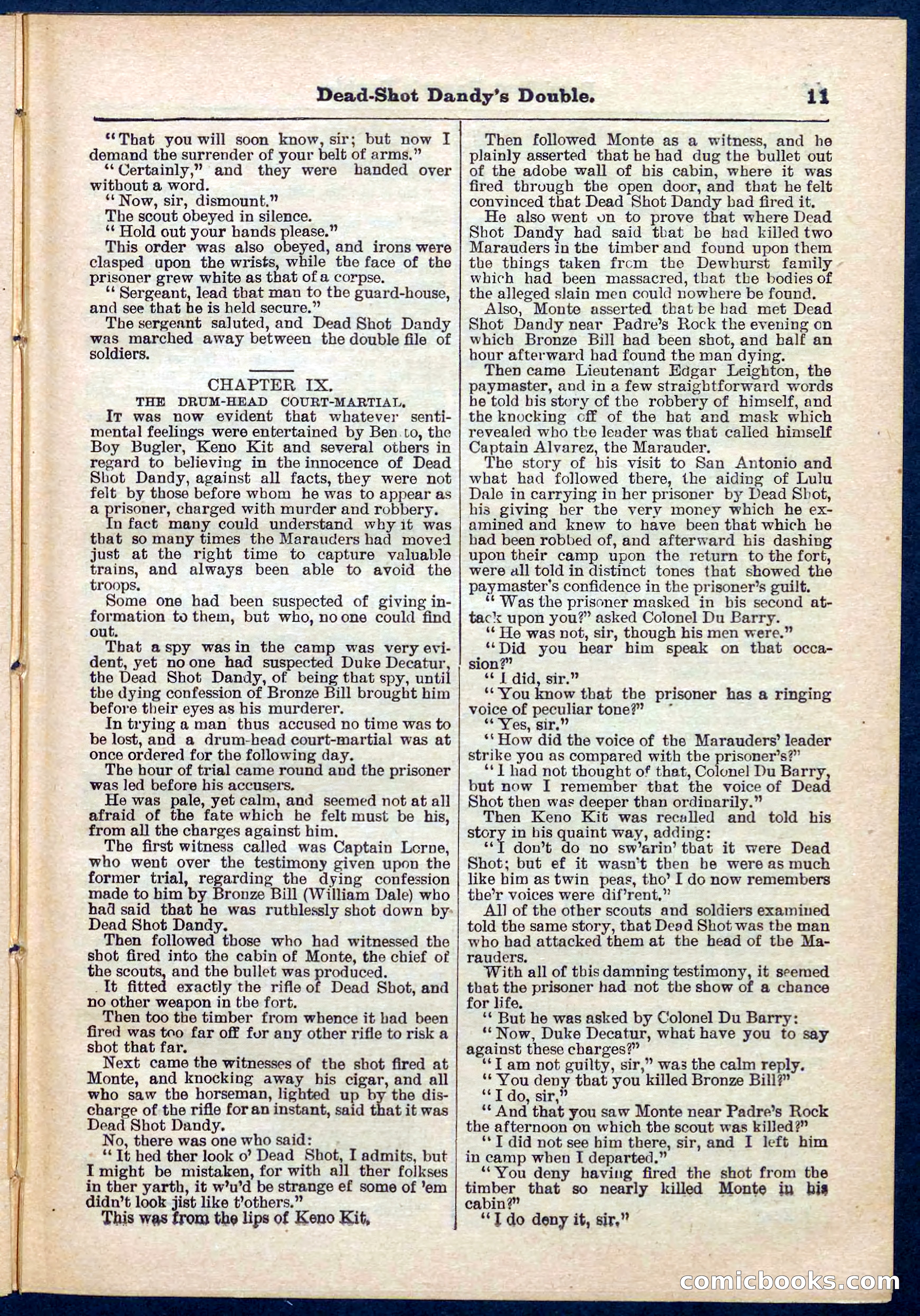Beadle's Pocket Library No. 274 — page 11 of 32