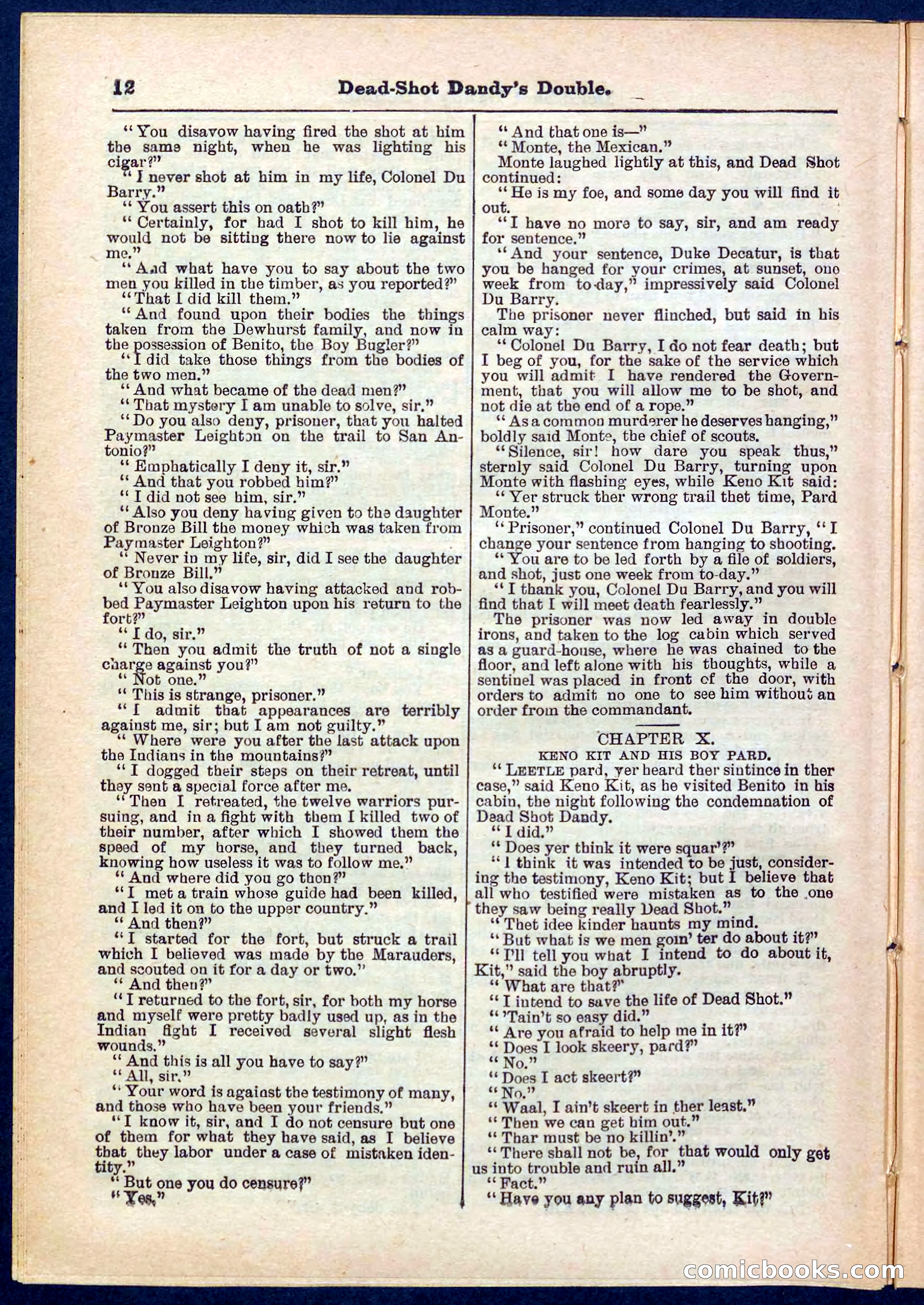 Beadle's Pocket Library No. 274 — page 12 of 32