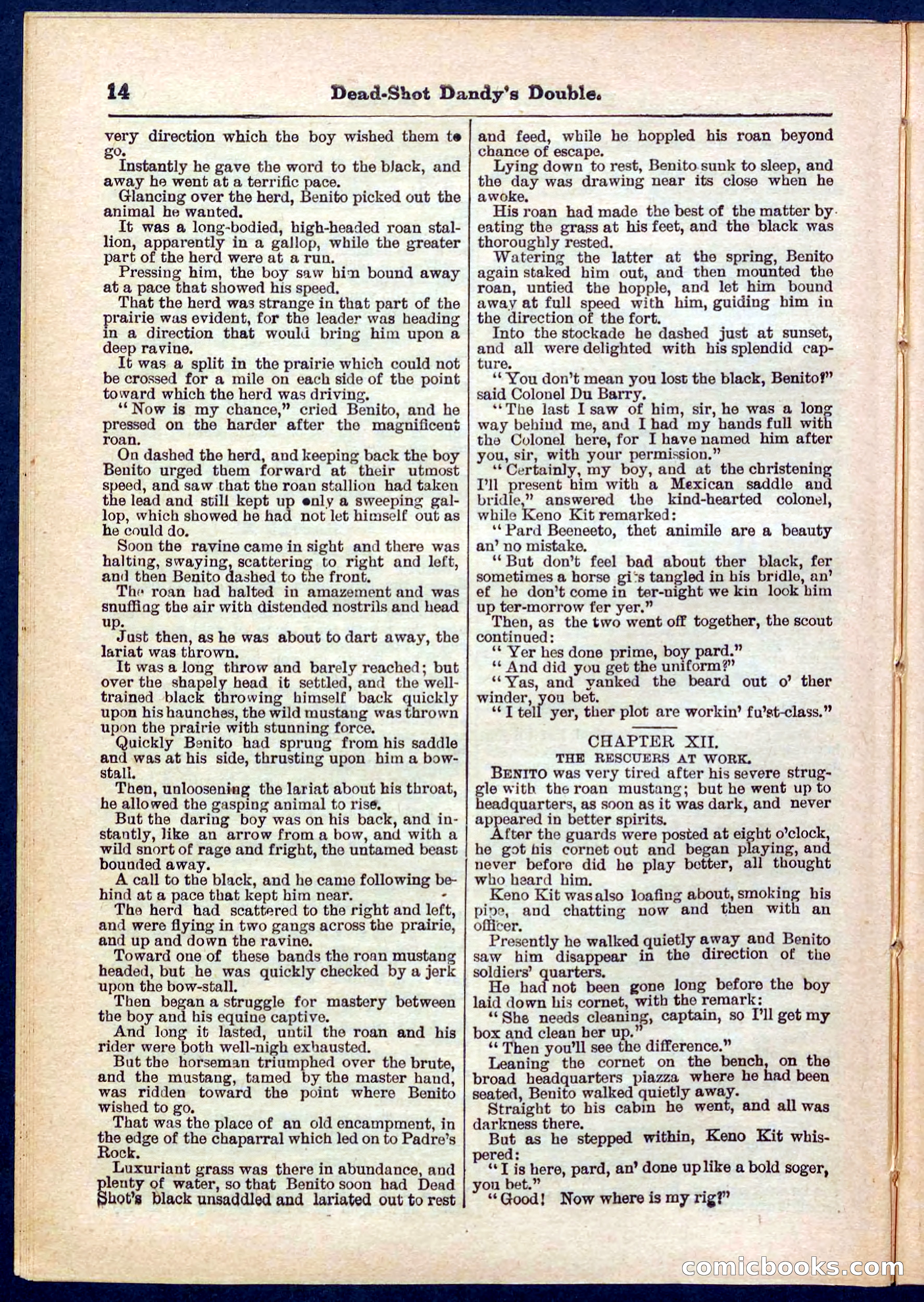 Beadle's Pocket Library No. 274 — page 14 of 32