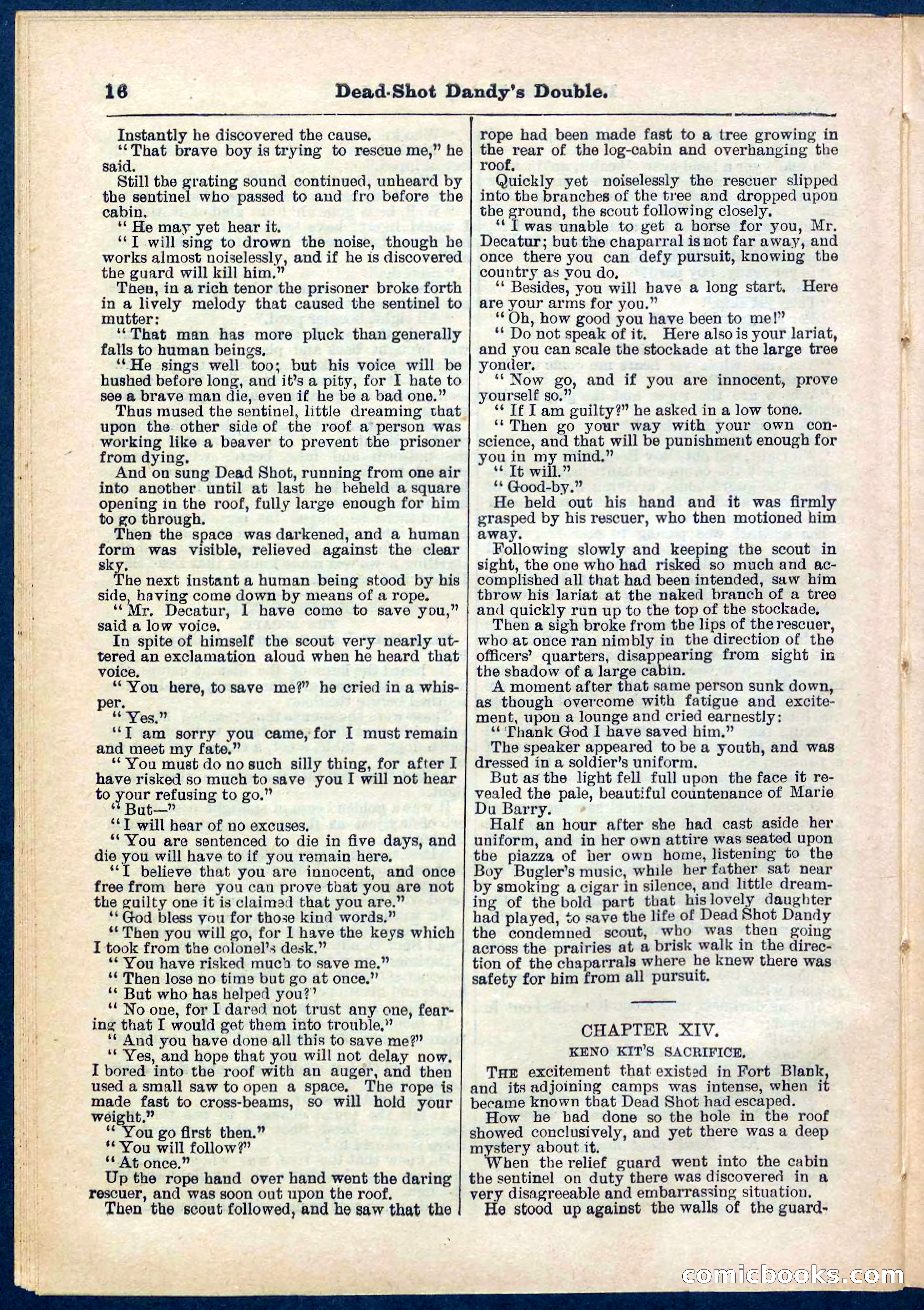 Beadle's Pocket Library No. 274 — page 16 of 32