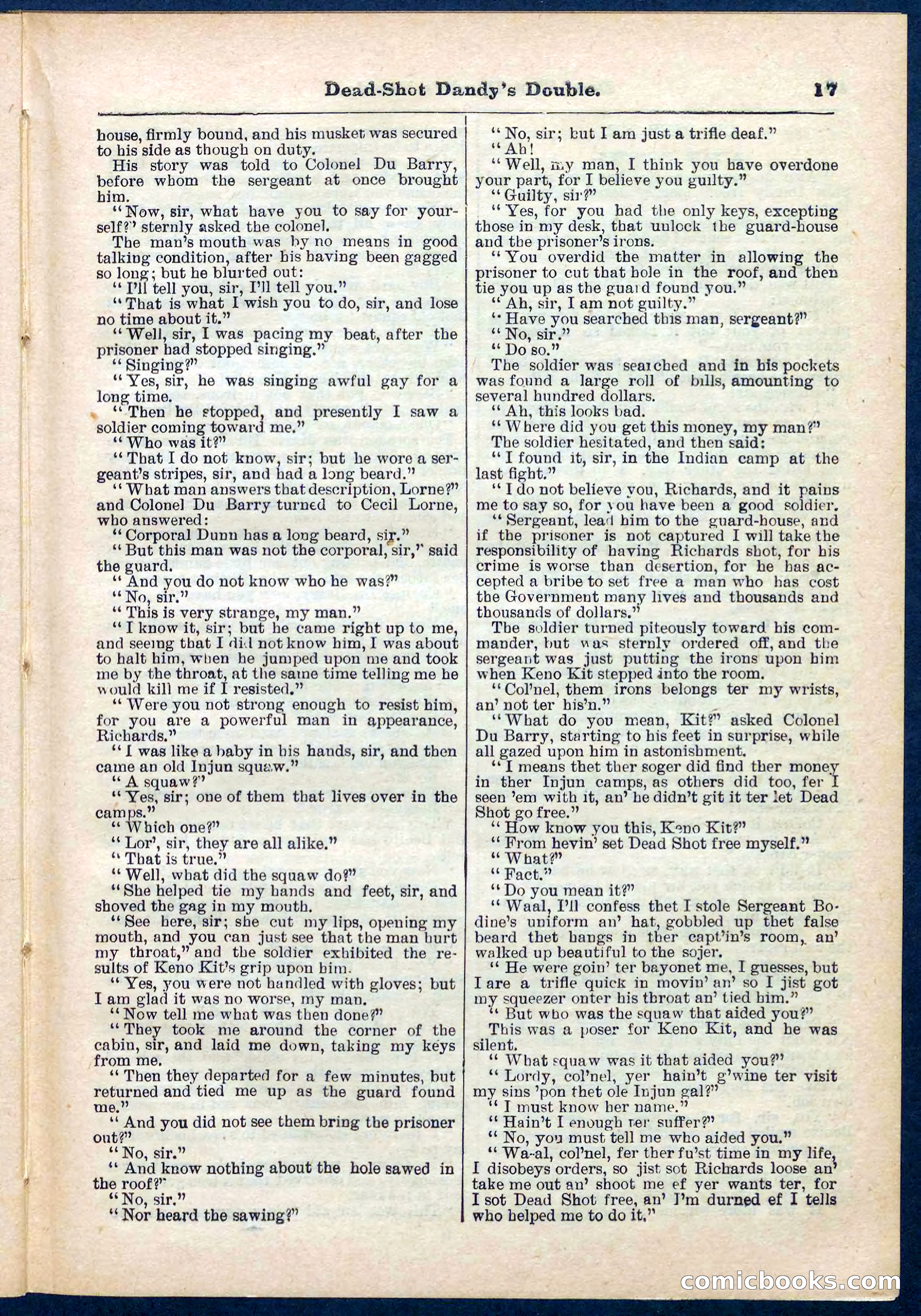 Beadle's Pocket Library No. 274 — page 17 of 32