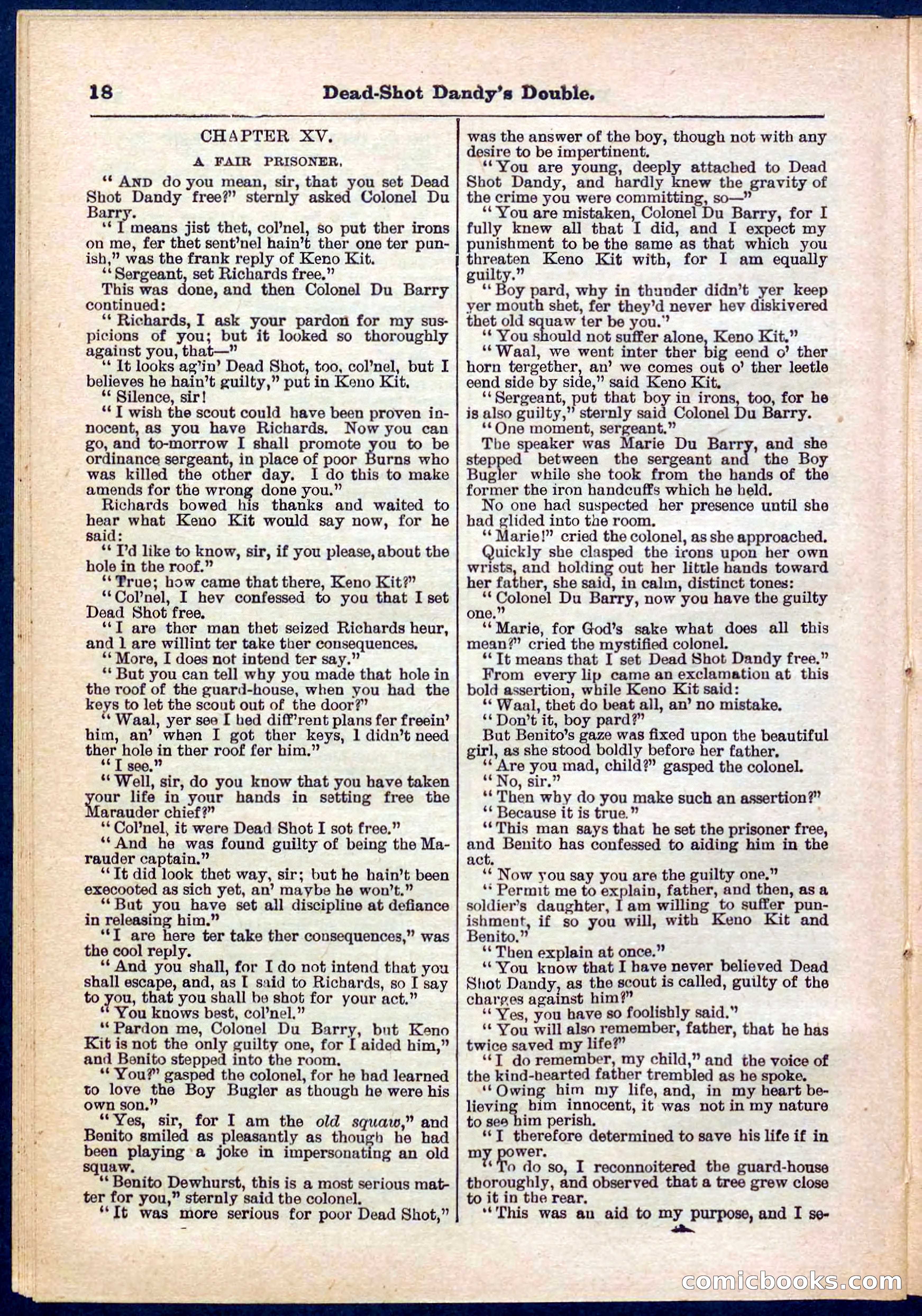 Beadle's Pocket Library No. 274 — page 18 of 32