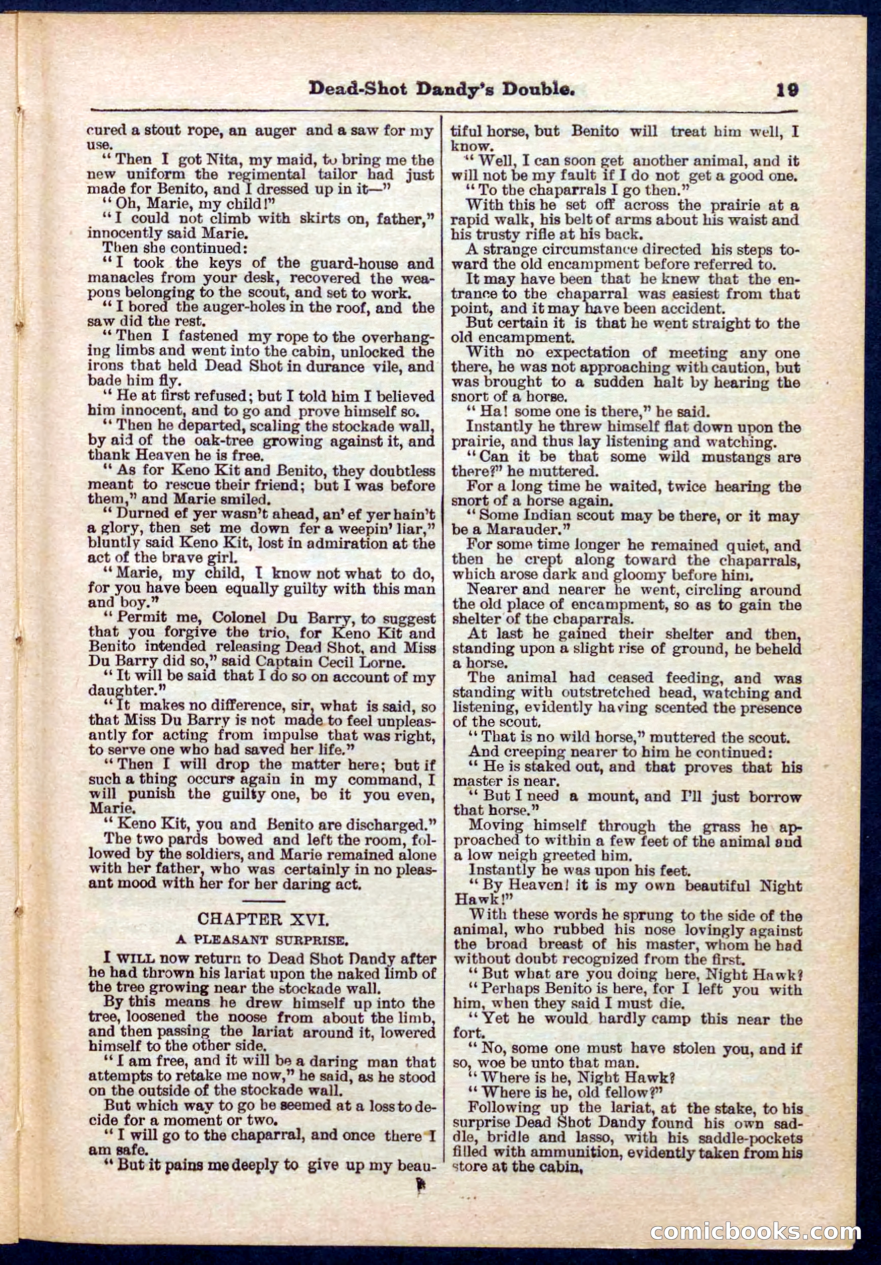 Beadle's Pocket Library No. 274 — page 19 of 32