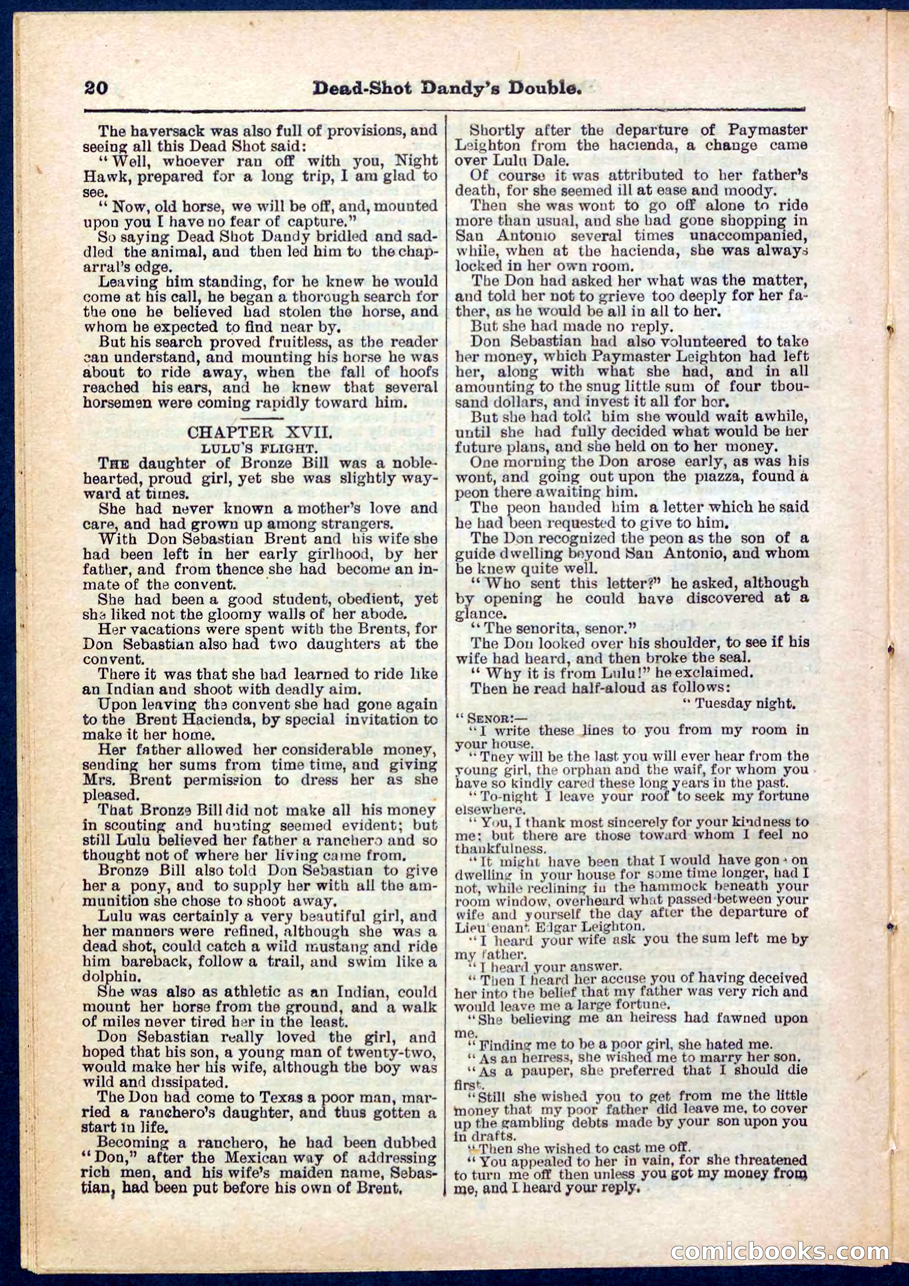 Beadle's Pocket Library No. 274 — page 20 of 32