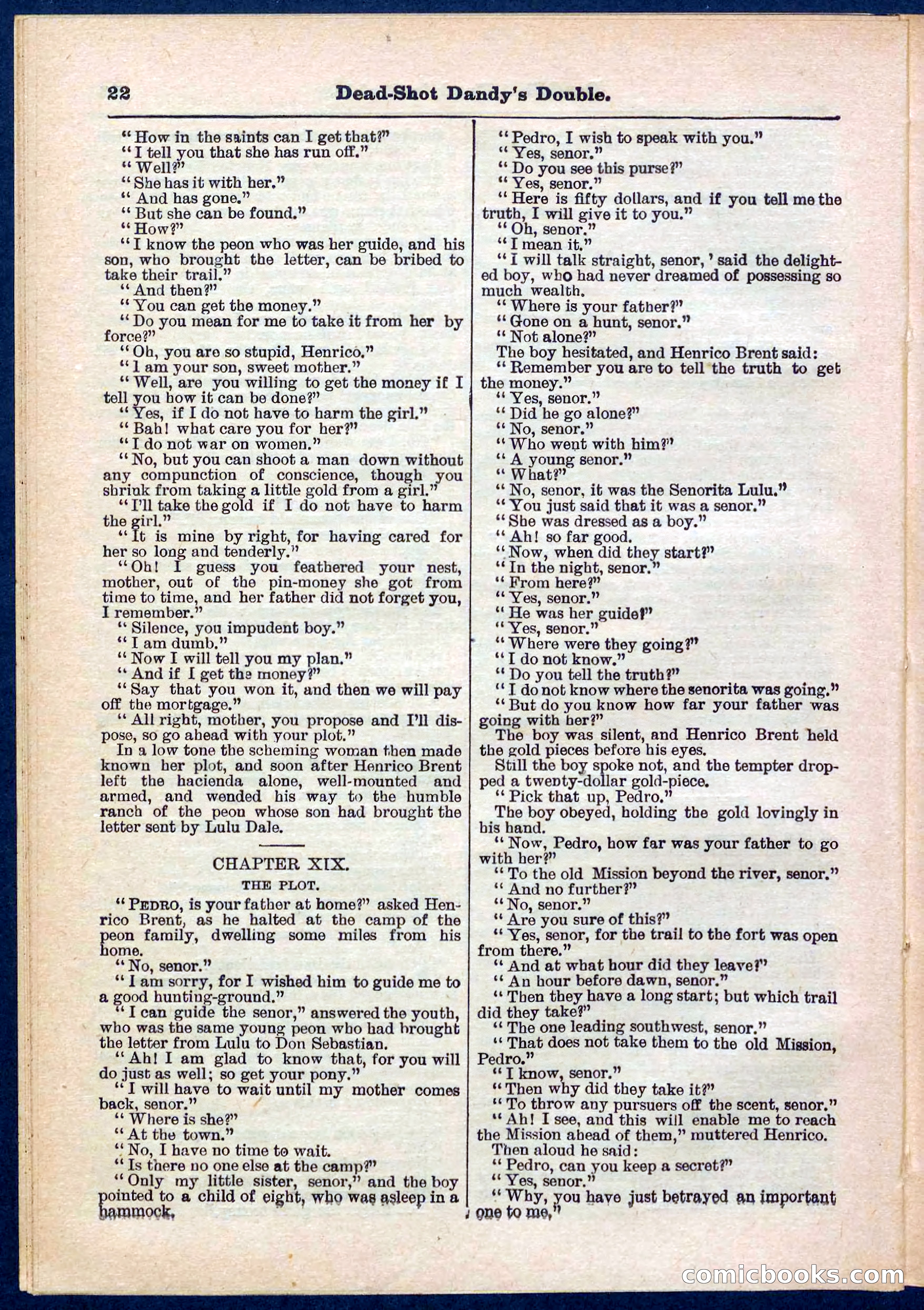 Beadle's Pocket Library No. 274 — page 22 of 32