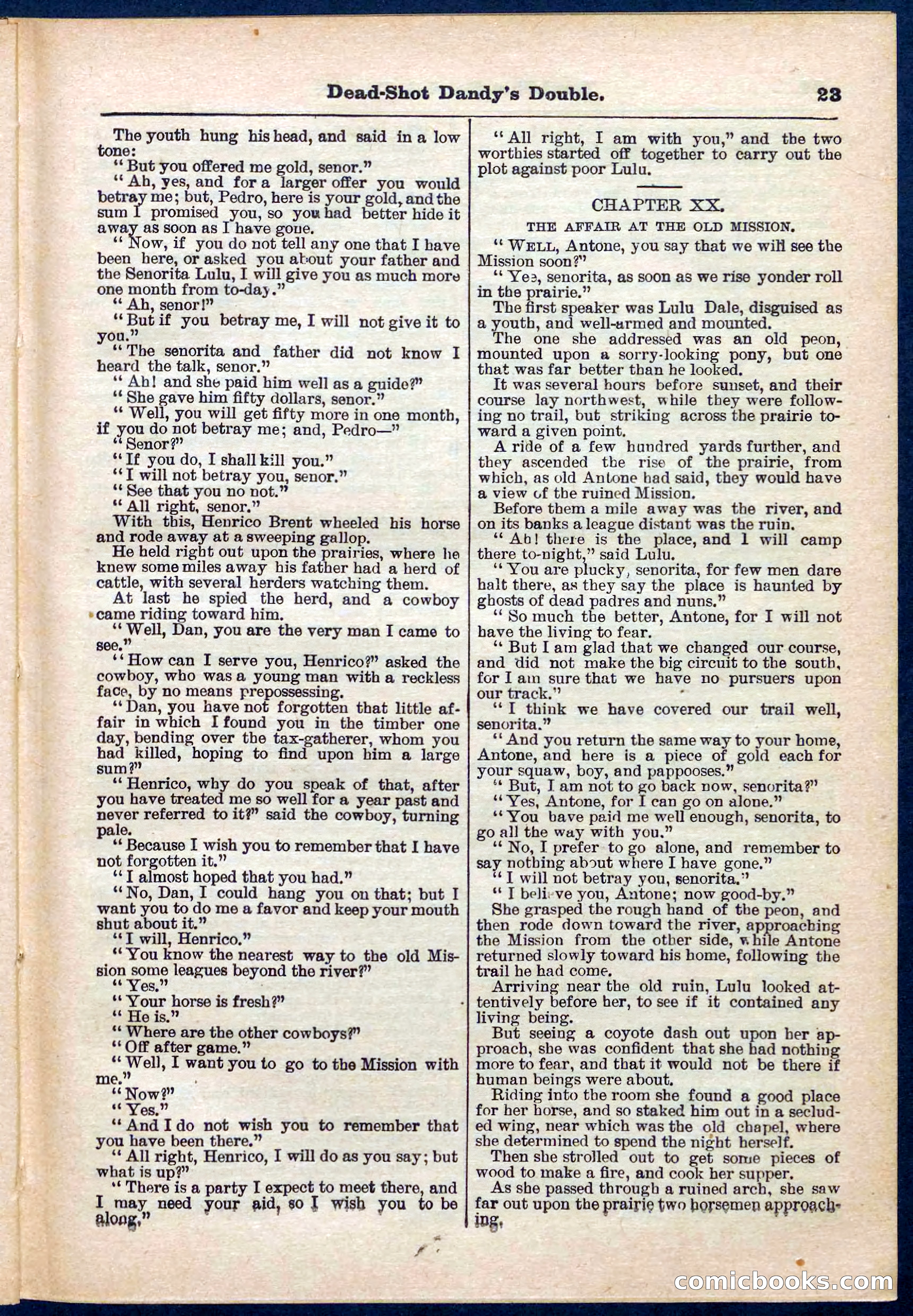 Beadle's Pocket Library No. 274 — page 23 of 32
