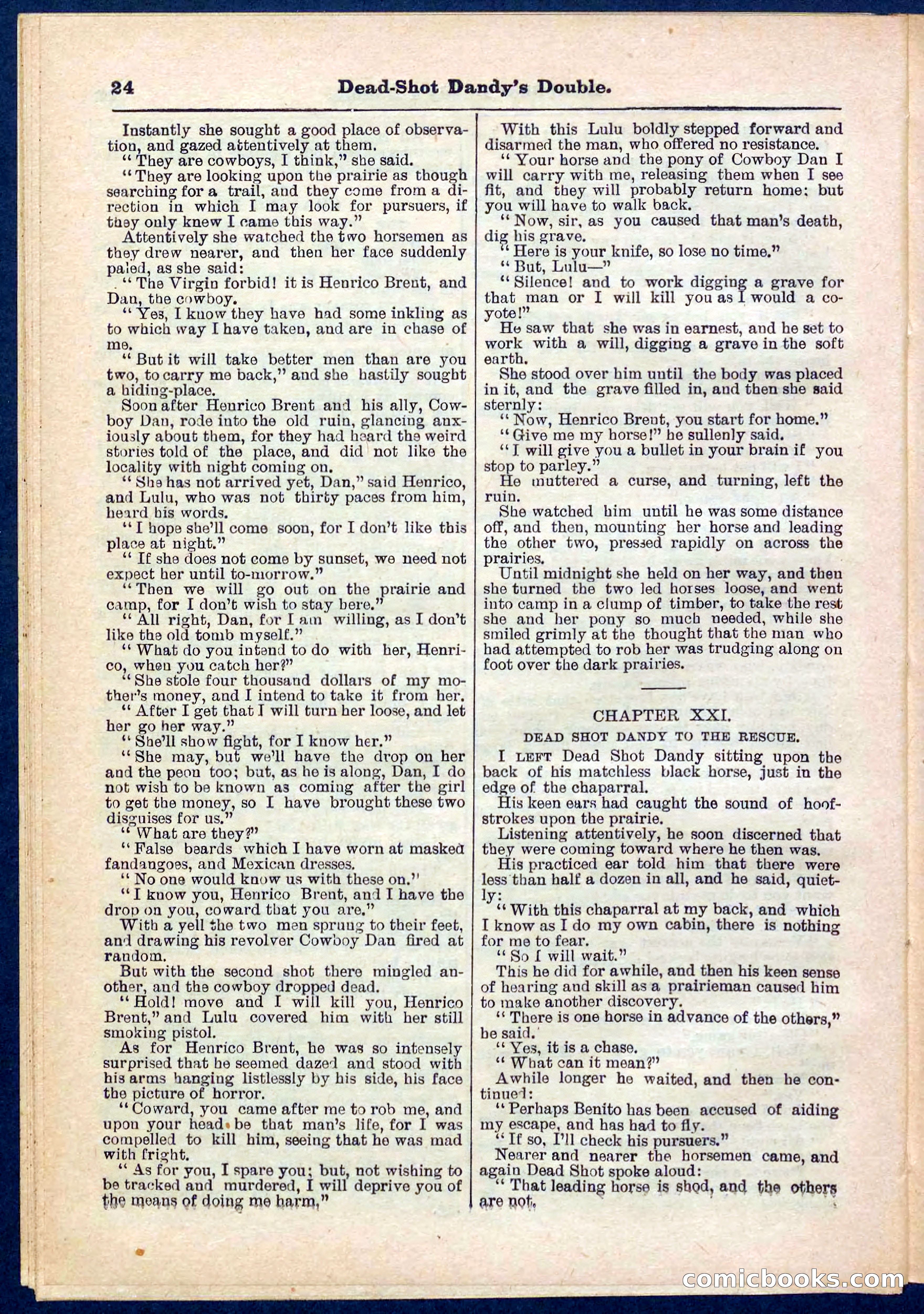 Beadle's Pocket Library No. 274 — page 24 of 32