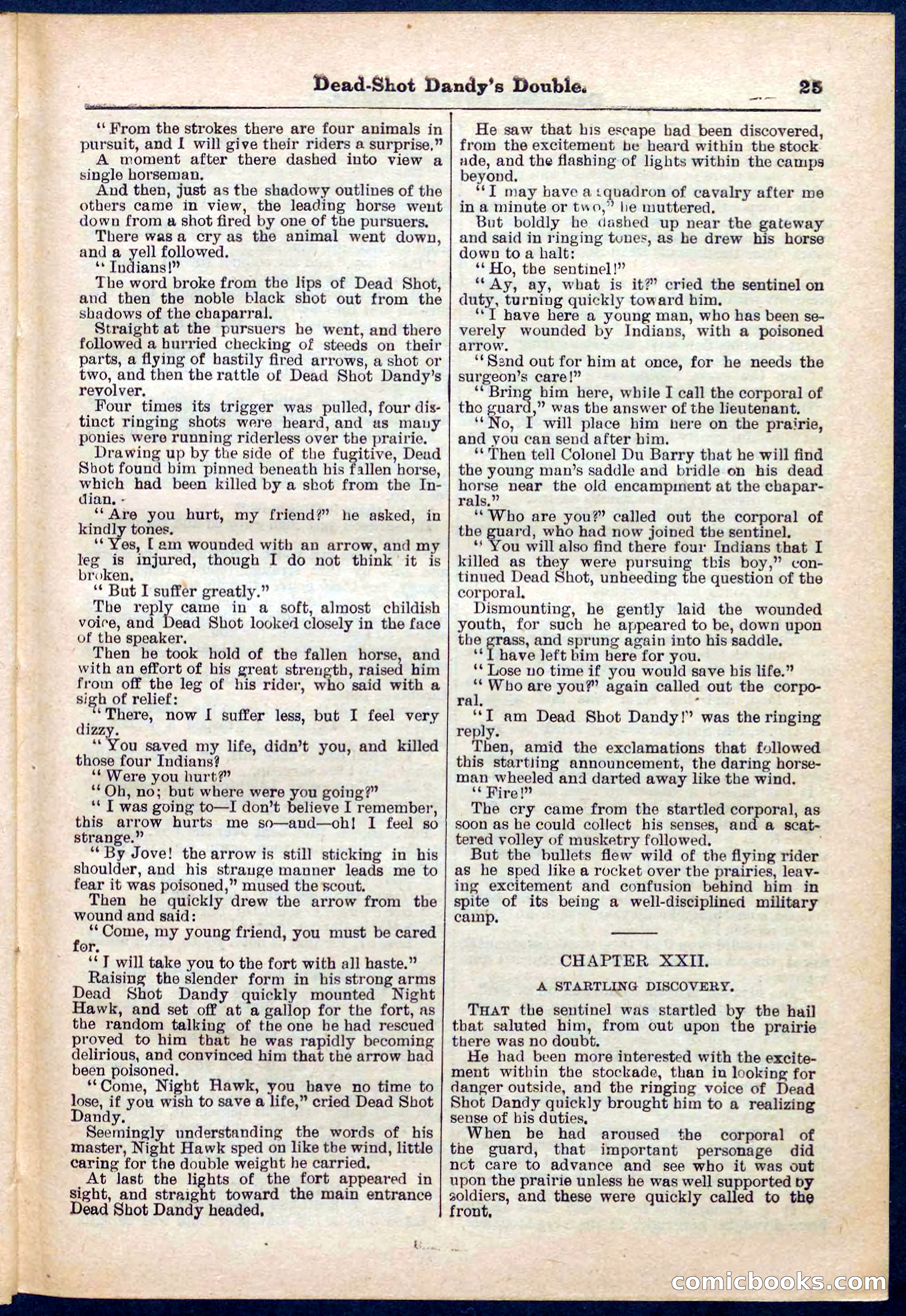 Beadle's Pocket Library No. 274 — page 25 of 32