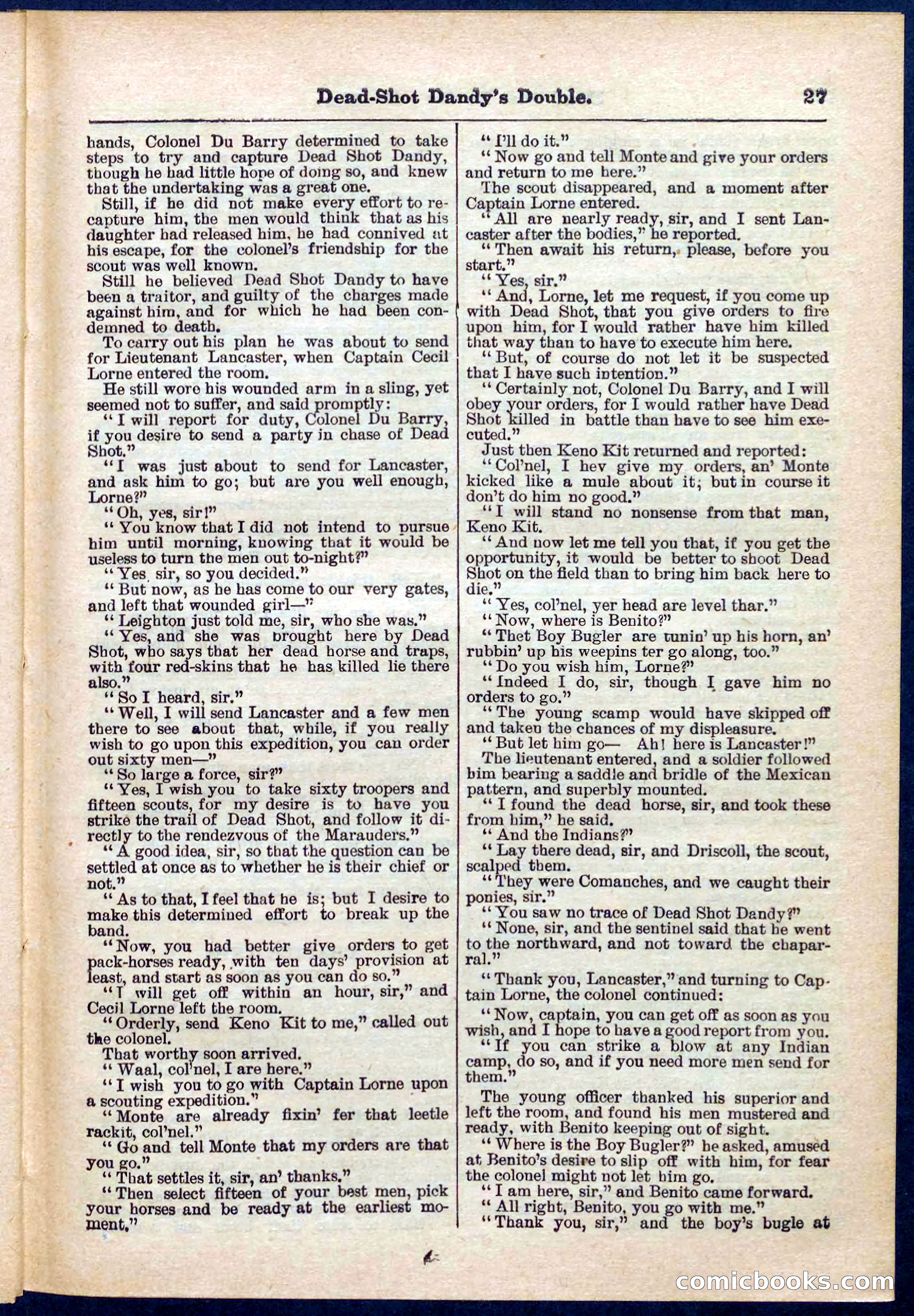 Beadle's Pocket Library No. 274 — page 27 of 32