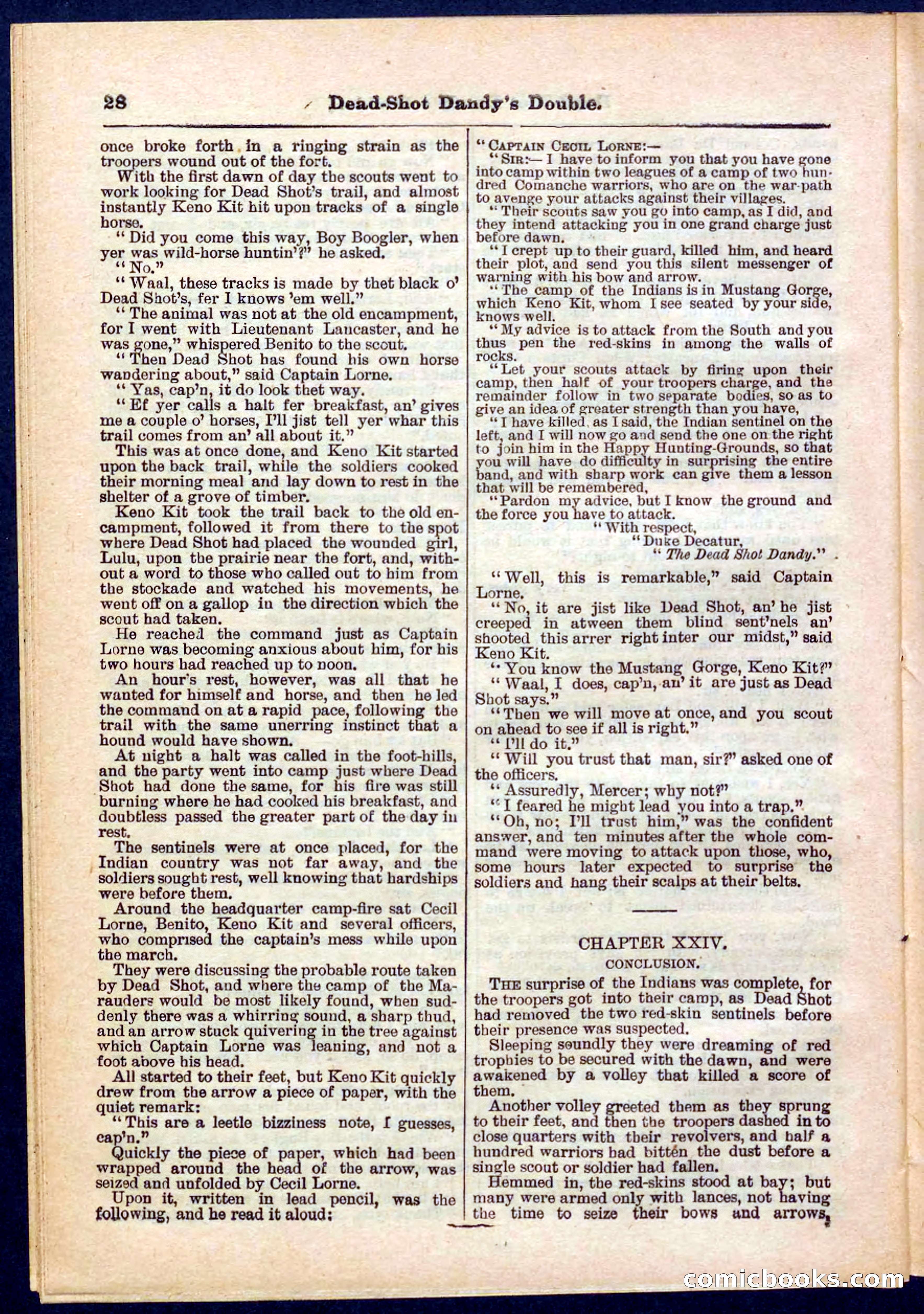 Beadle's Pocket Library No. 274 — page 28 of 32