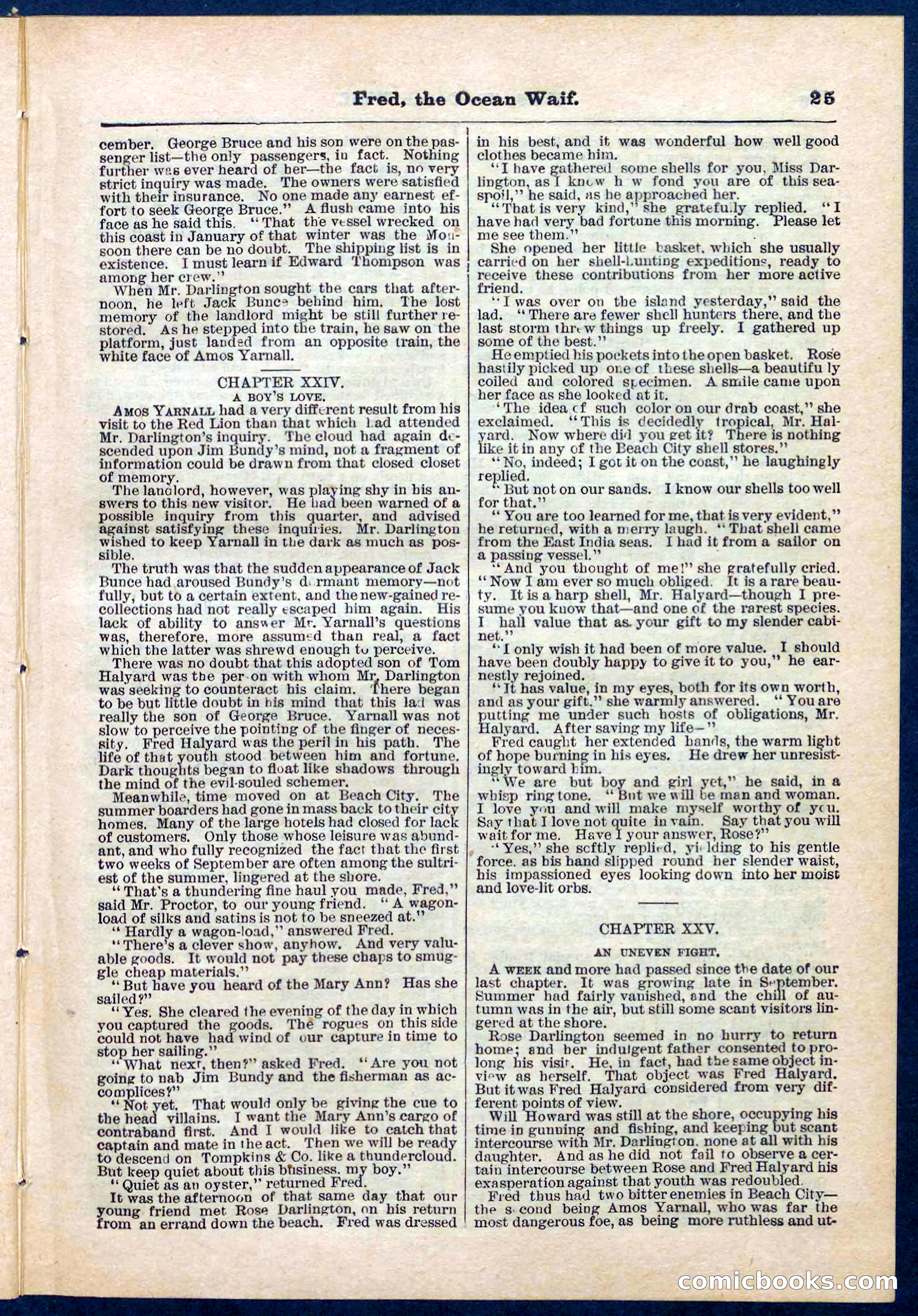 Beadle's Pocket Library No. 275 — page 25 of 32