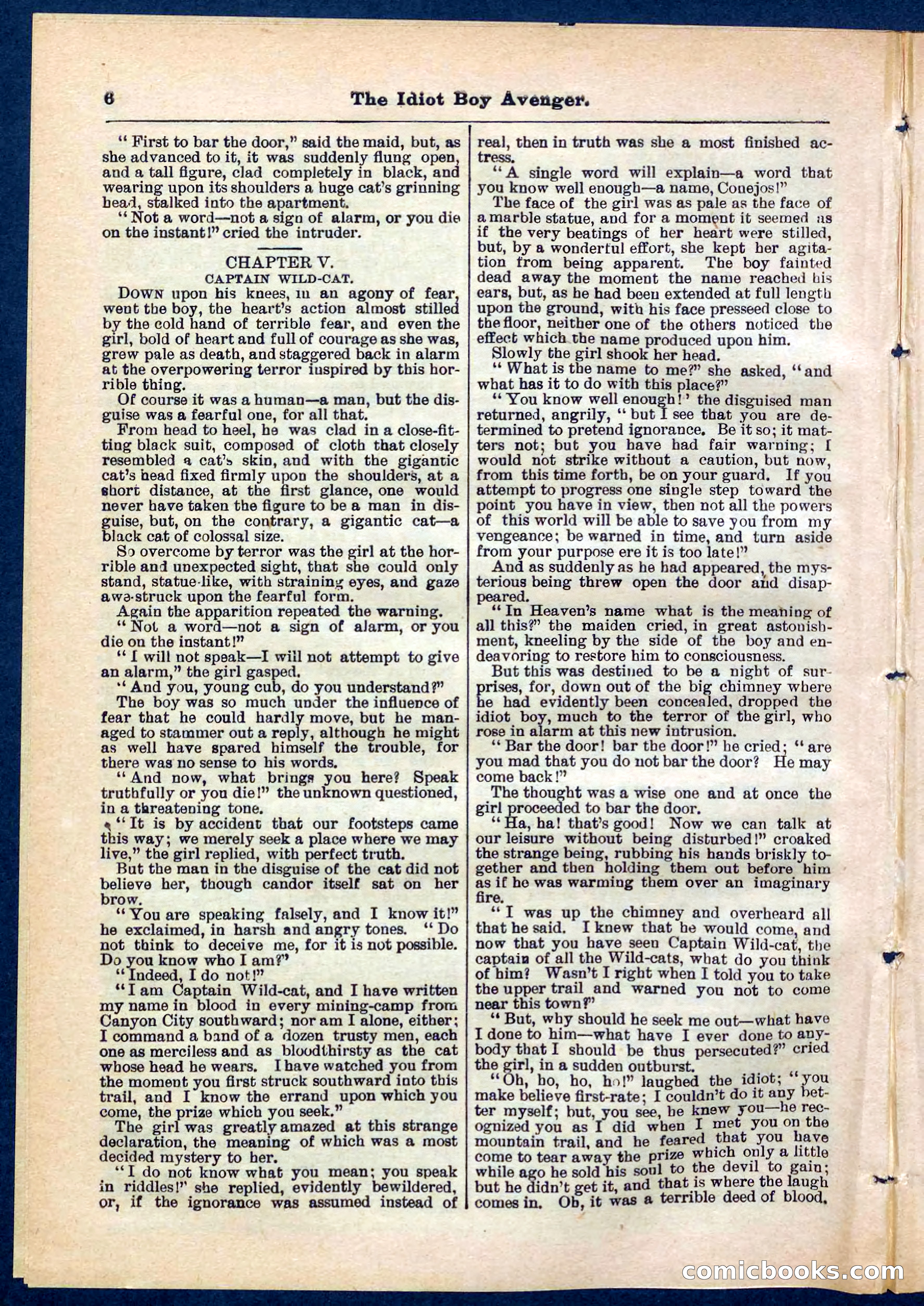 Beadle's Pocket Library No. 277 — page 6 of 32