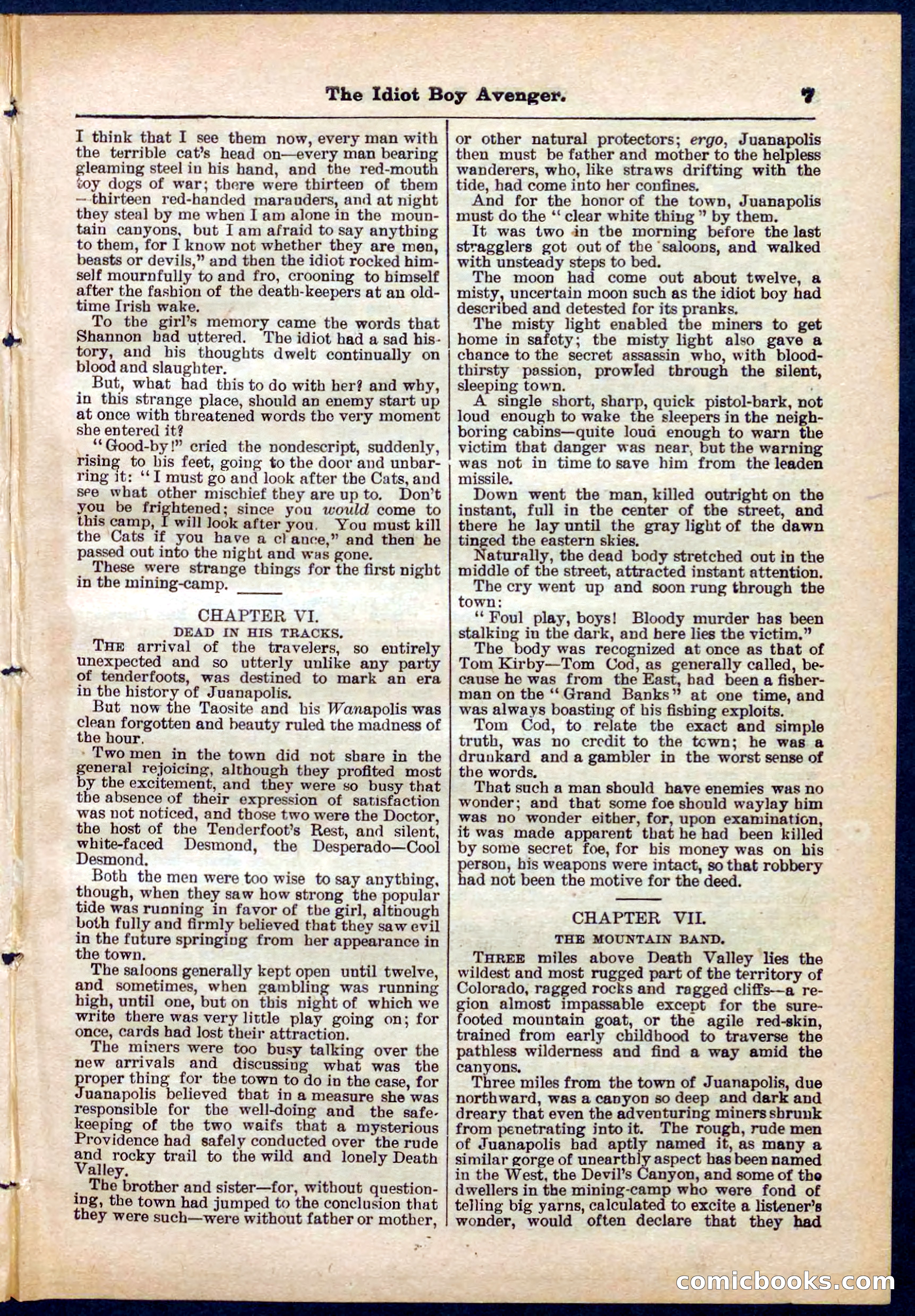 Beadle's Pocket Library No. 277 — page 7 of 32