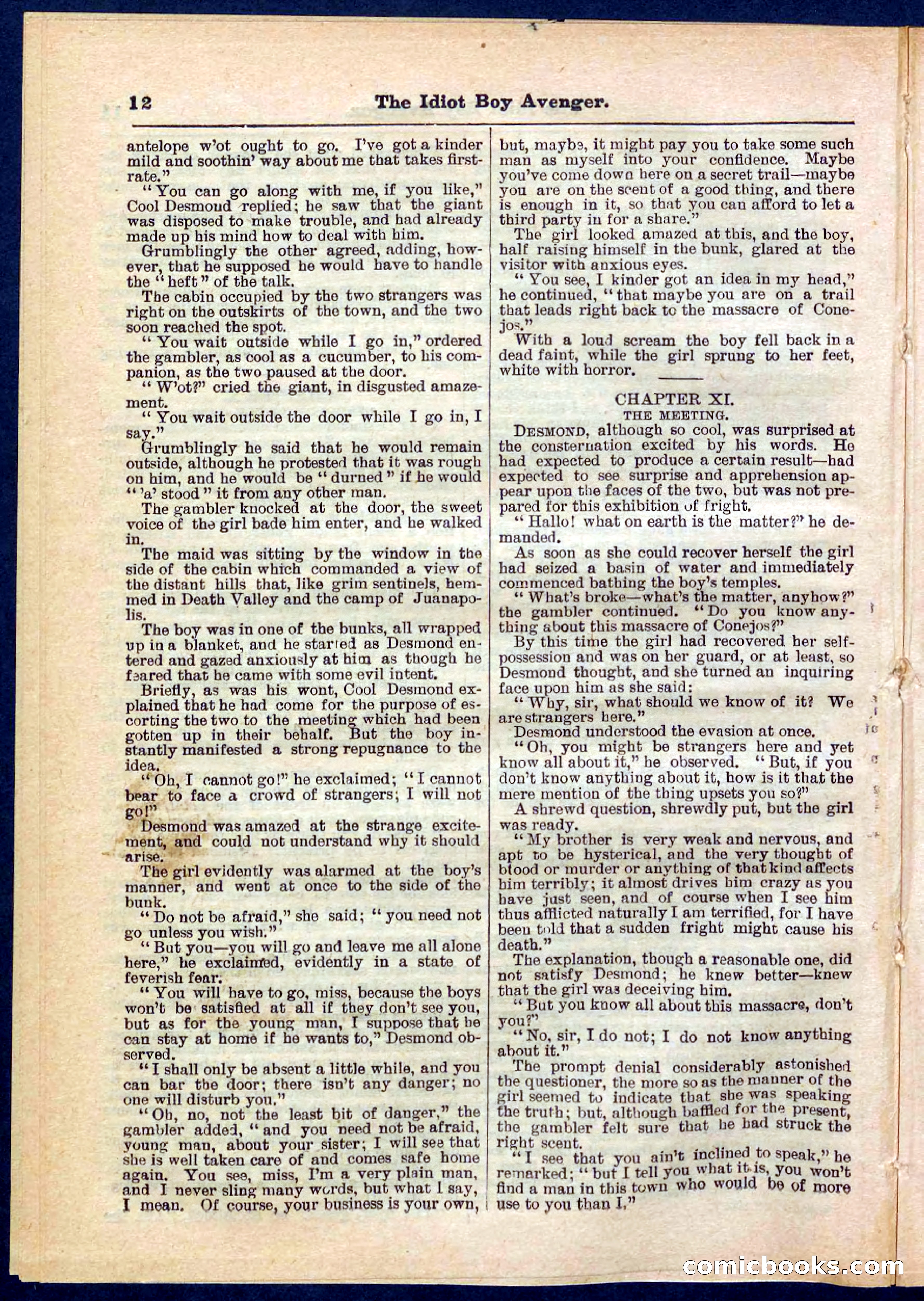Beadle's Pocket Library No. 277 — page 12 of 32