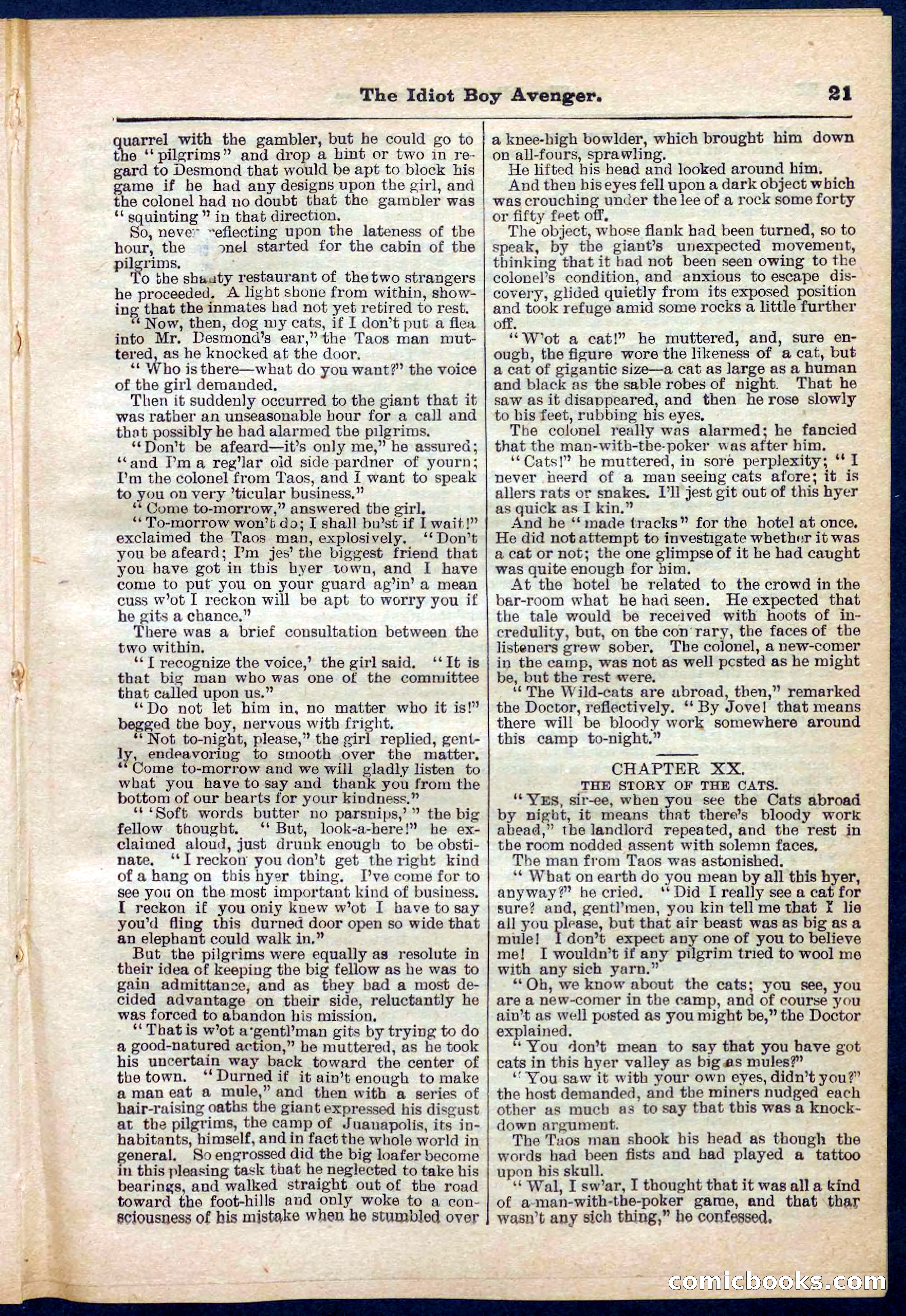 Beadle's Pocket Library No. 277 — page 21 of 32