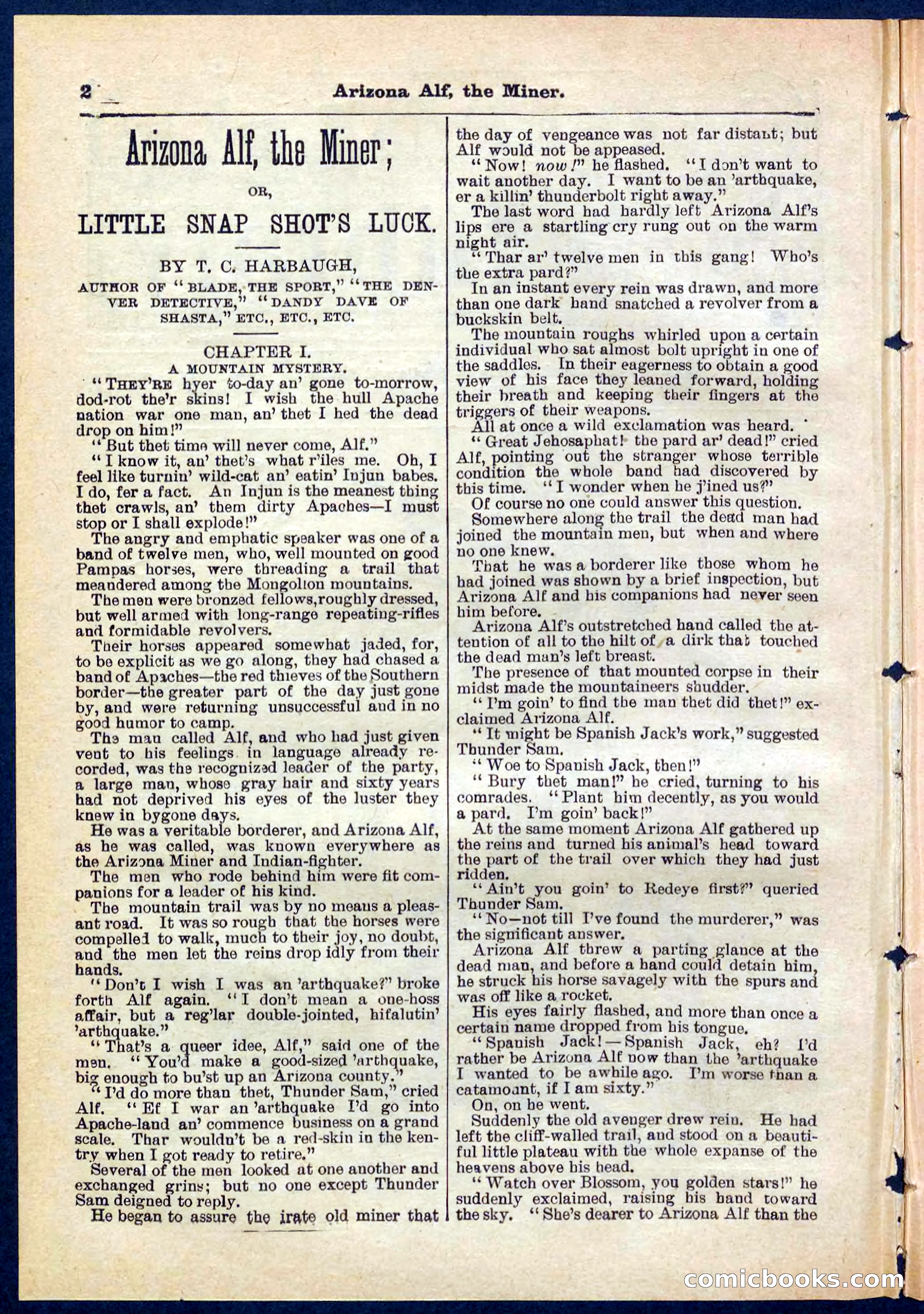 Beadle's Pocket Library No. 278 — page 2 of 32