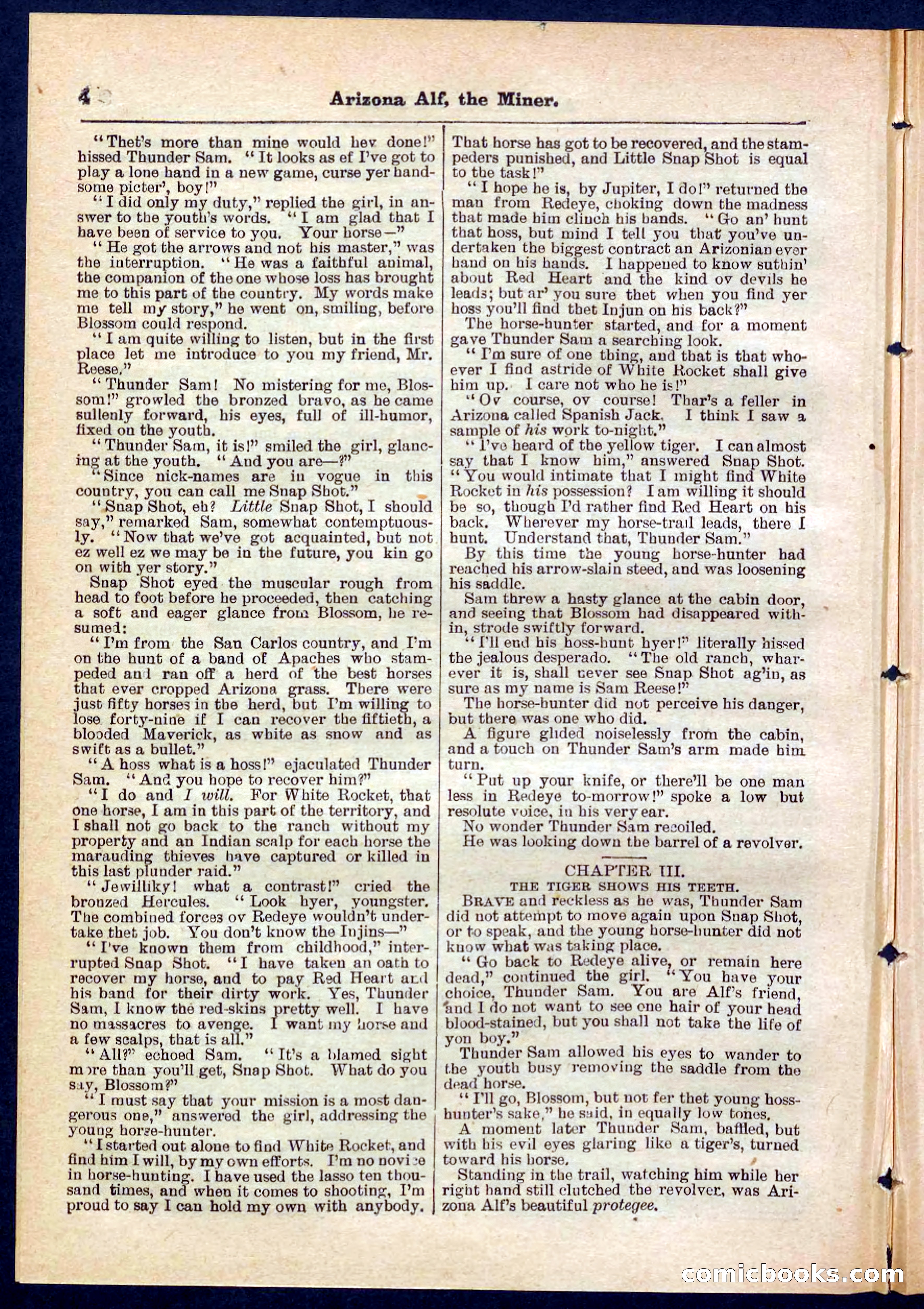 Beadle's Pocket Library No. 278 — page 4 of 32