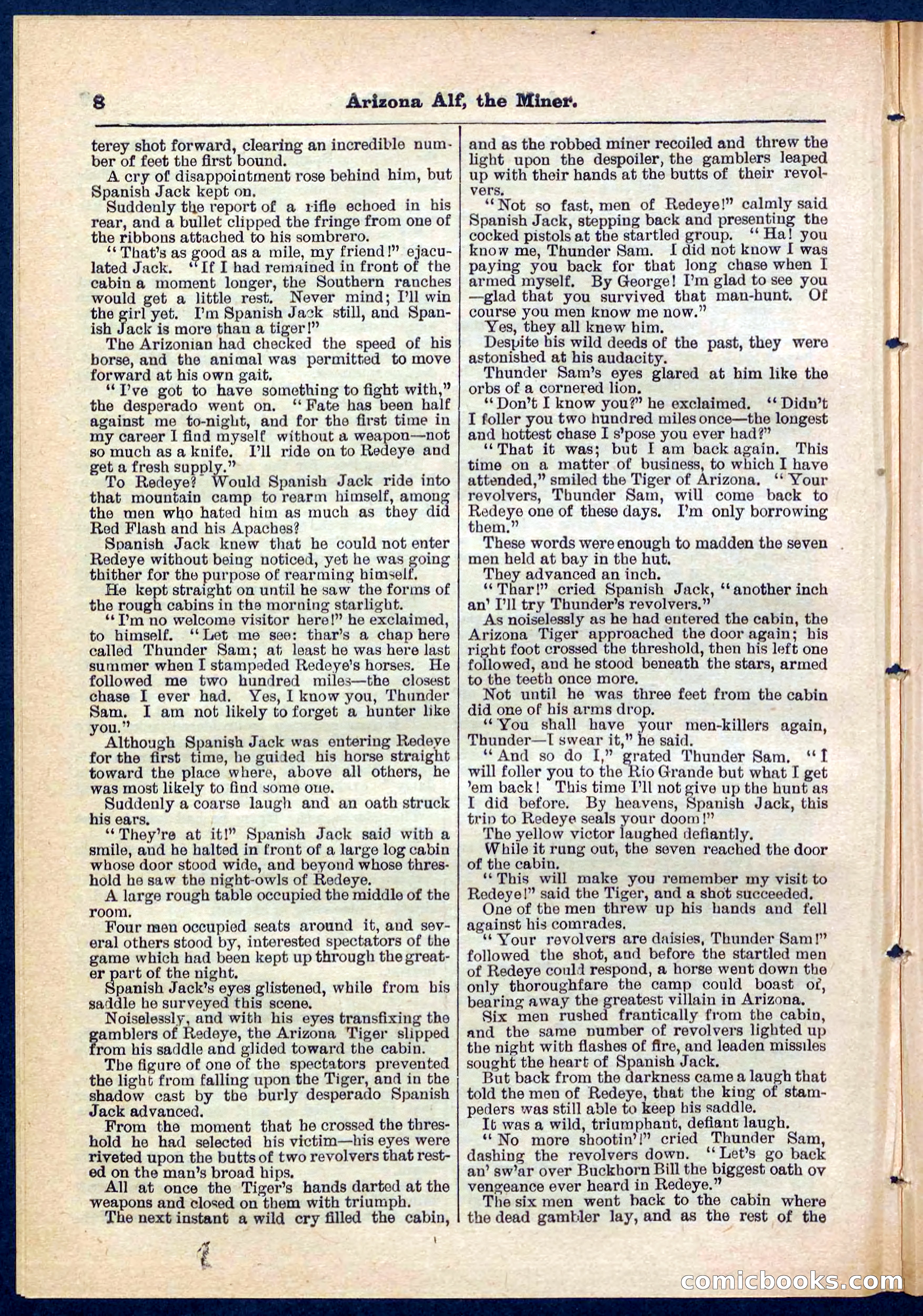 Beadle's Pocket Library No. 278 — page 8 of 32