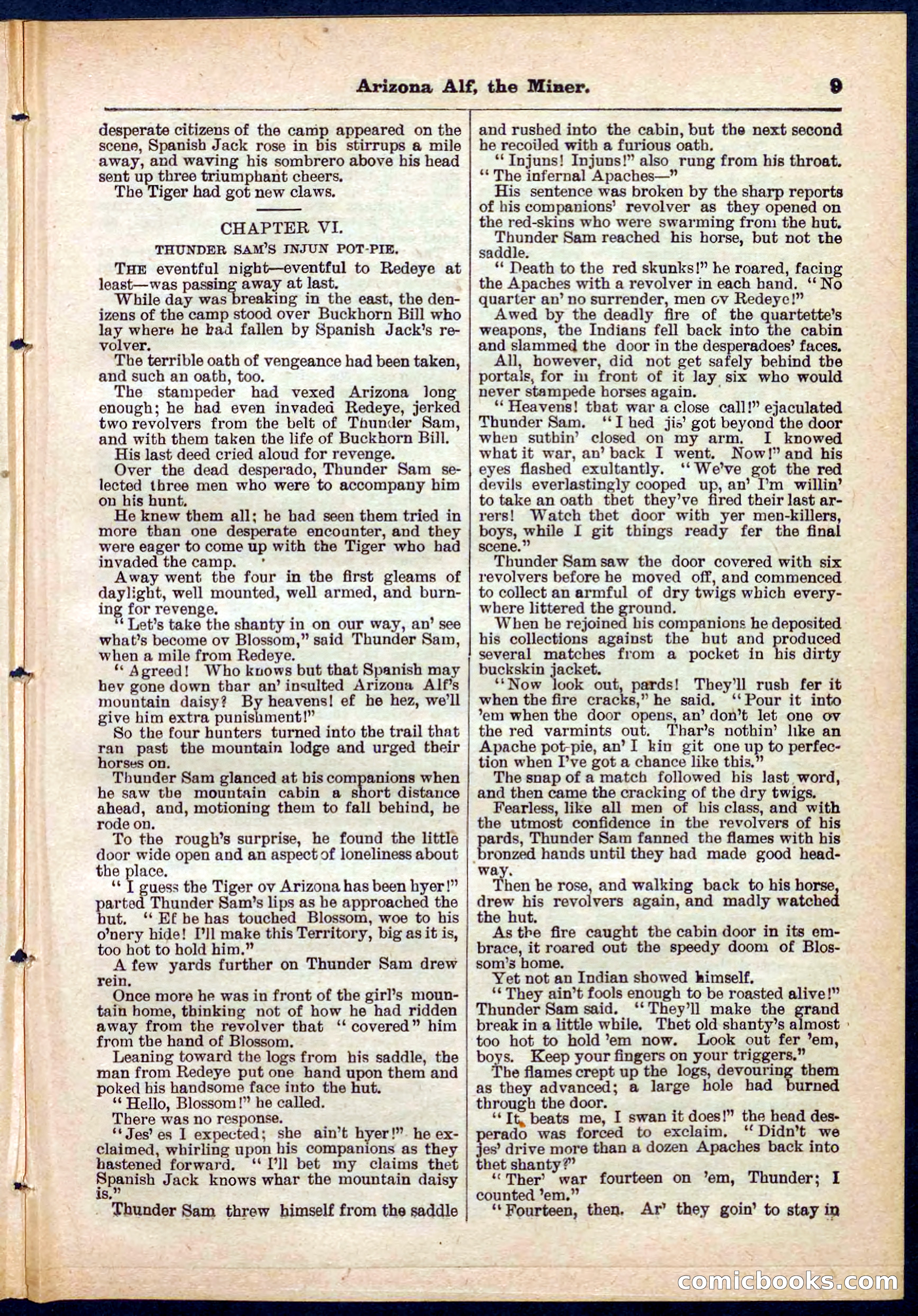 Beadle's Pocket Library No. 278 — page 9 of 32