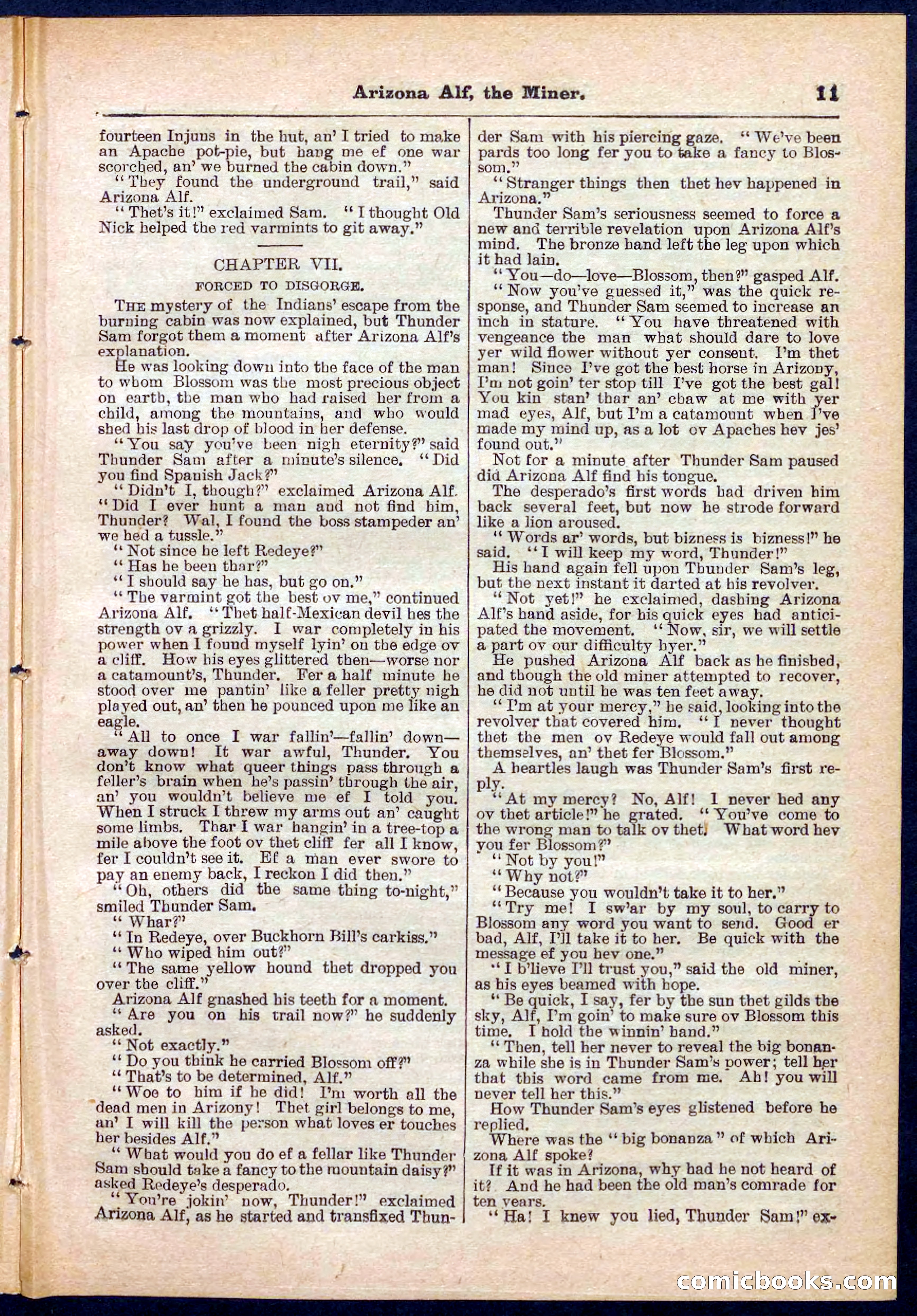 Beadle's Pocket Library No. 278 — page 11 of 32