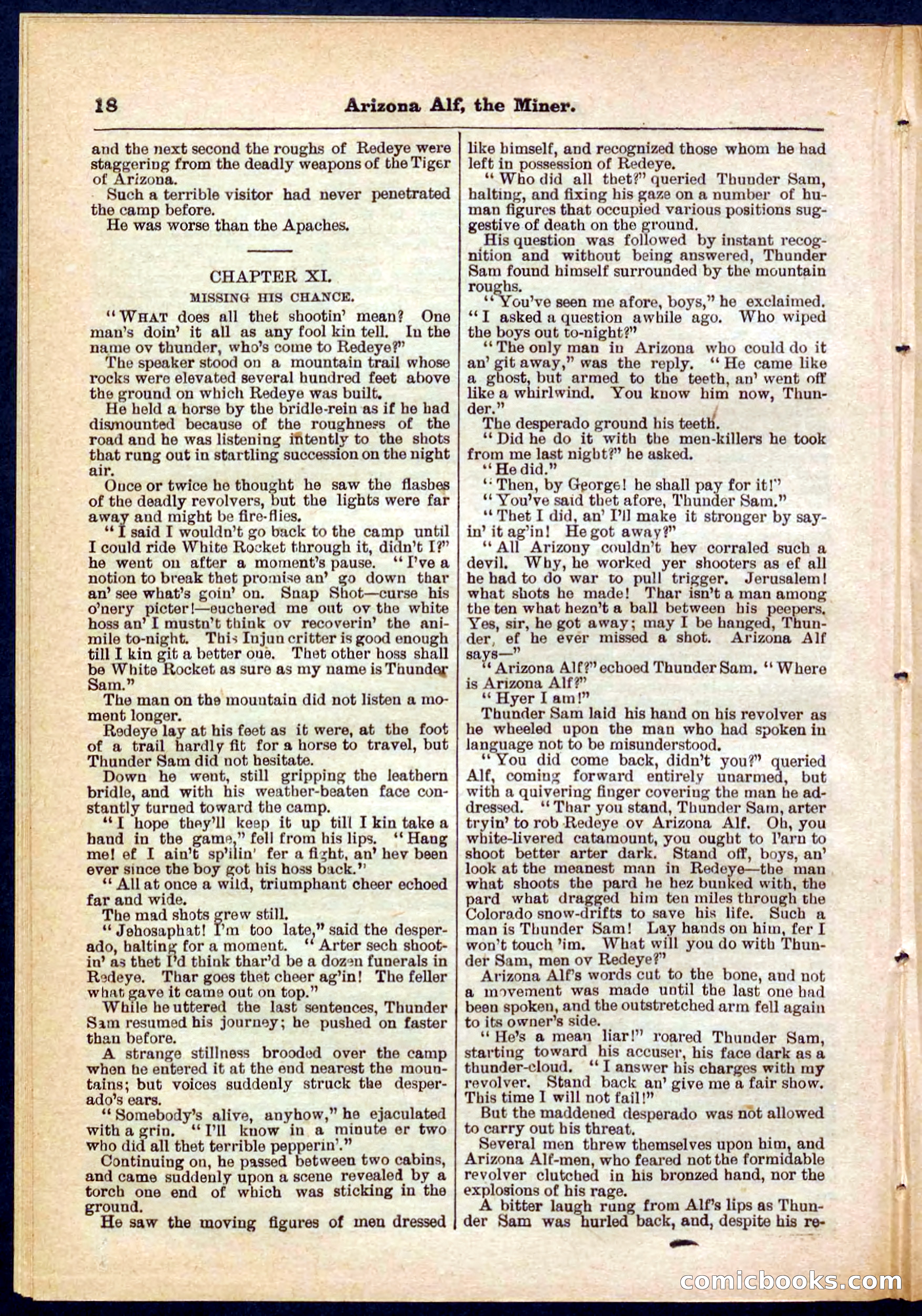 Beadle's Pocket Library No. 278 — page 18 of 32