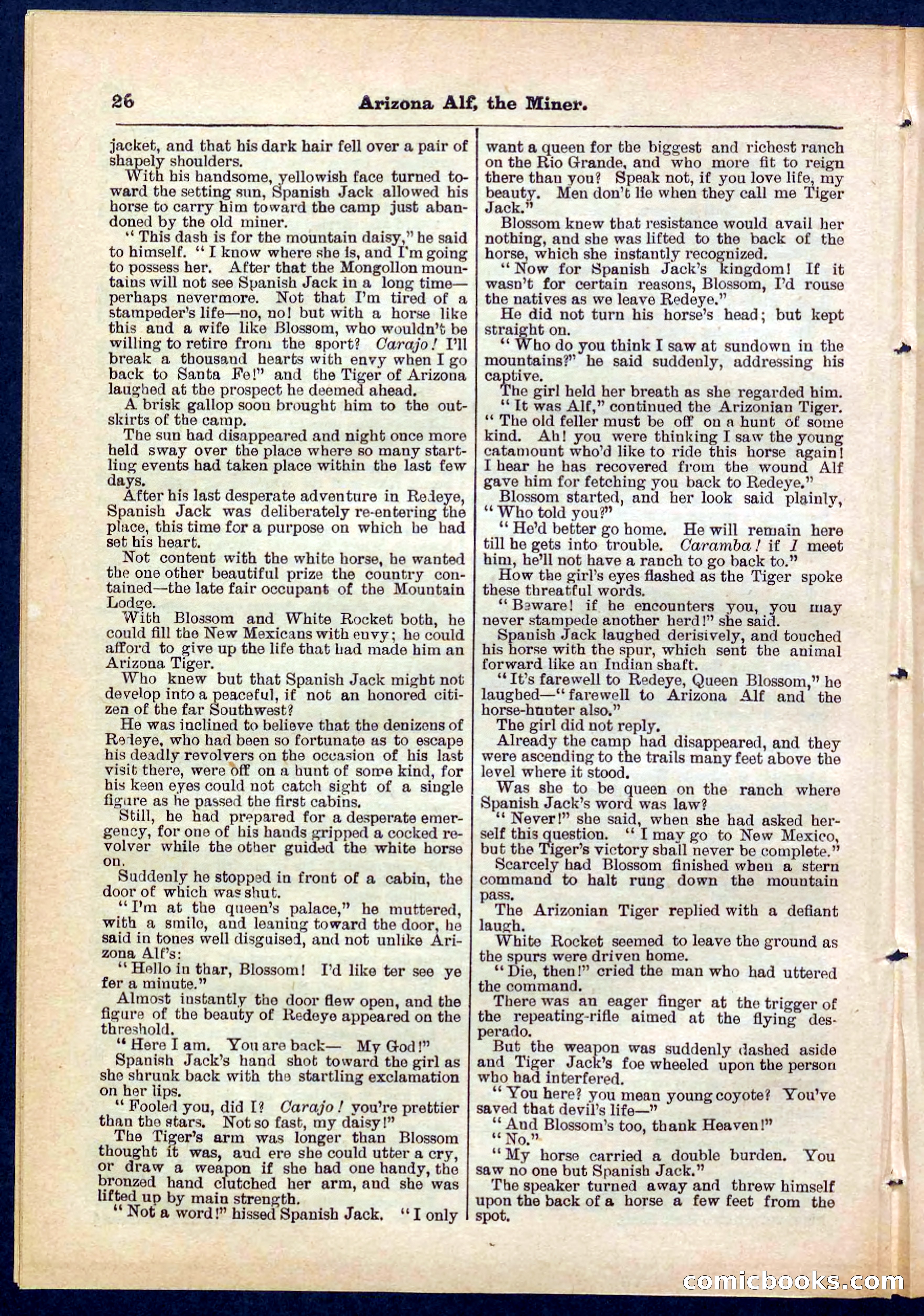 Beadle's Pocket Library No. 278 — page 26 of 32