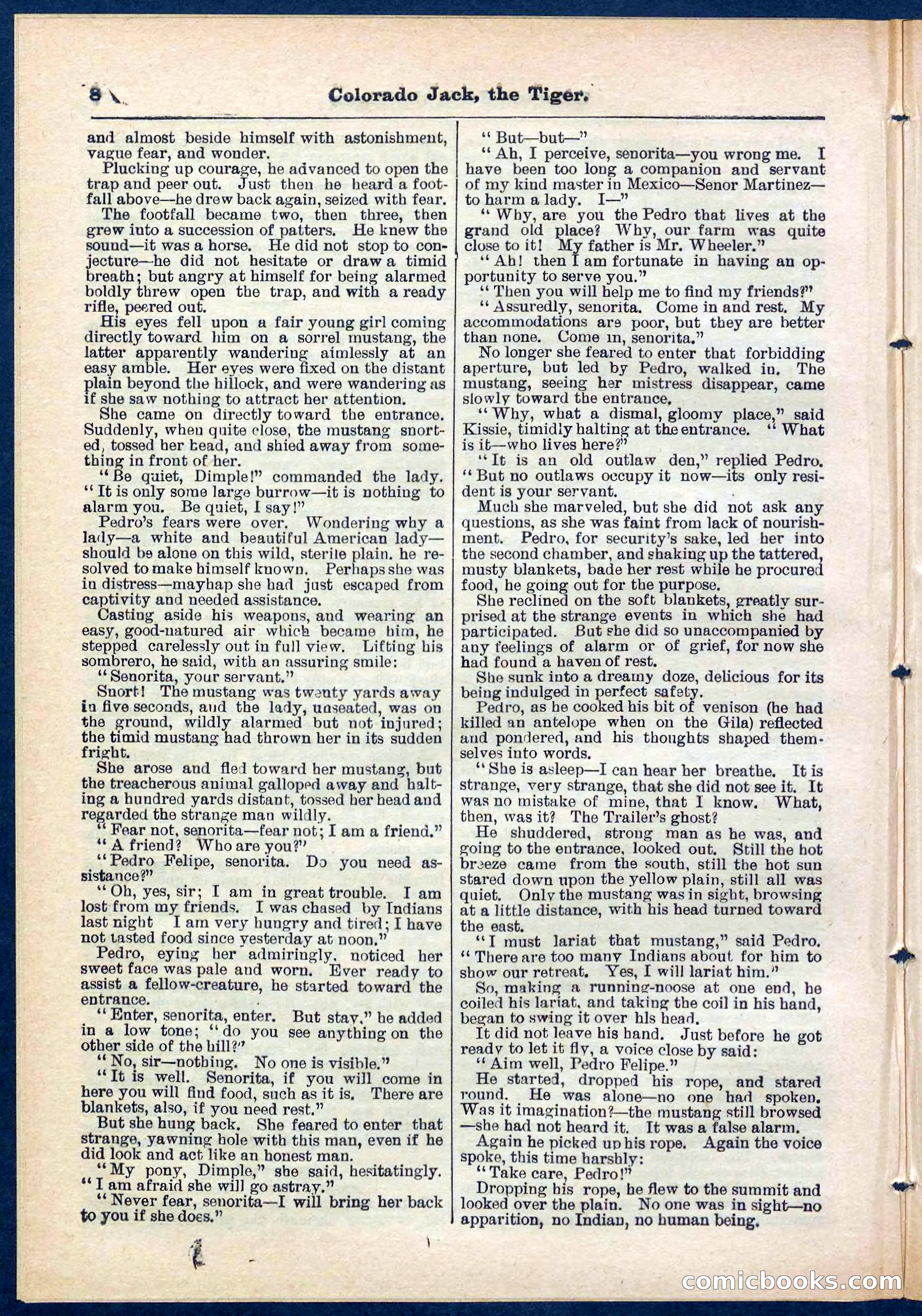 Beadle's Pocket Library No. 279: Colorado Jack the Tiger — page 8 of 32