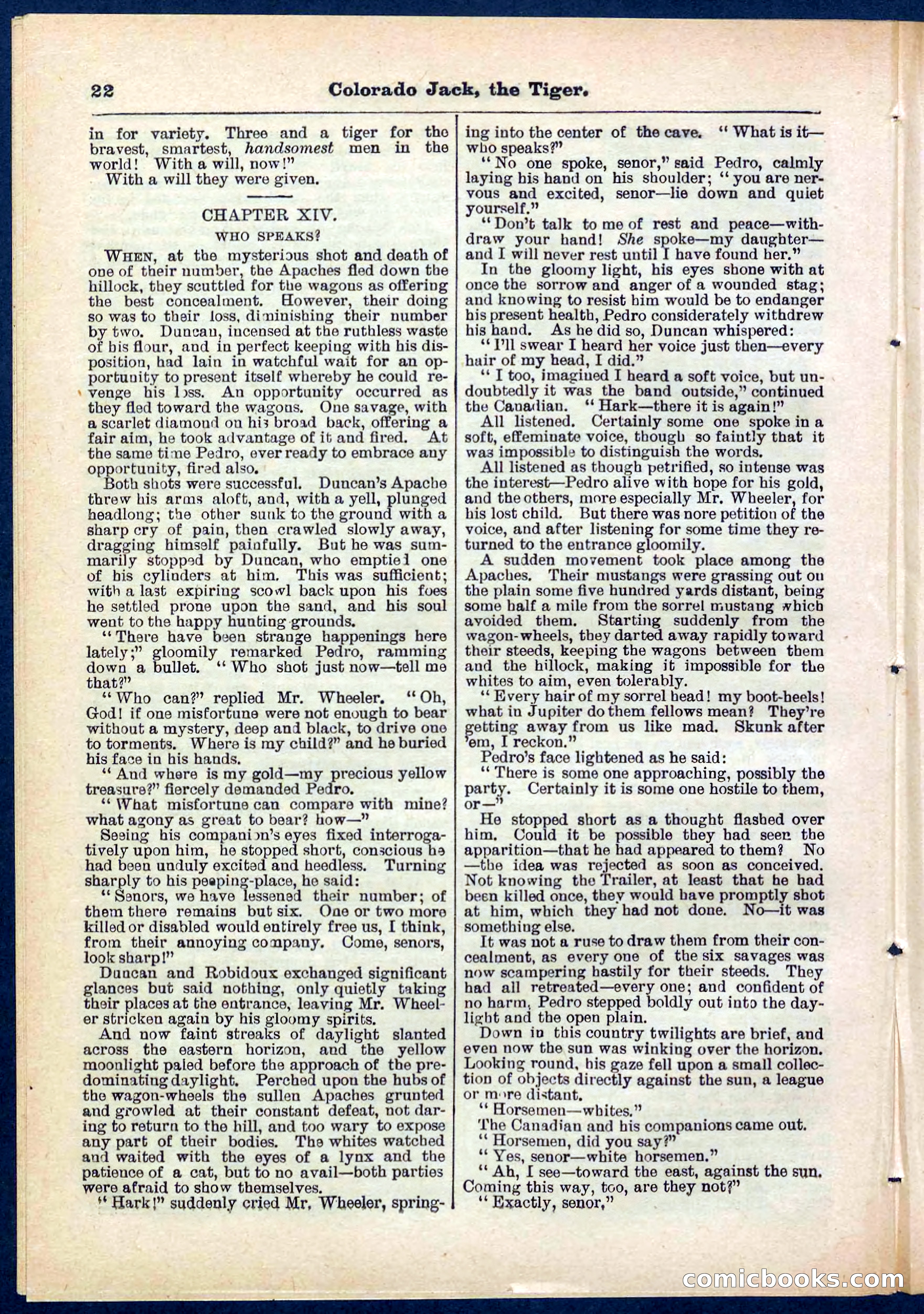 Beadle's Pocket Library No. 279: Colorado Jack the Tiger — page 22 of 32
